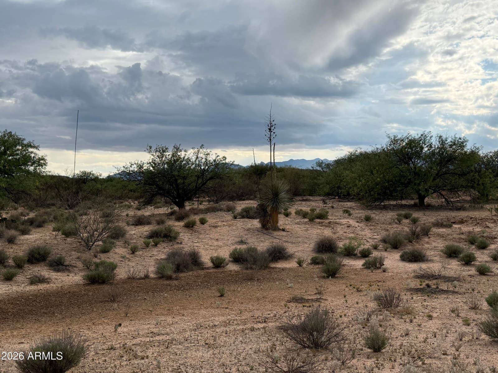 2305 W RABBITT Trail, Saint David, AZ 85630 — photo 31 of 40
