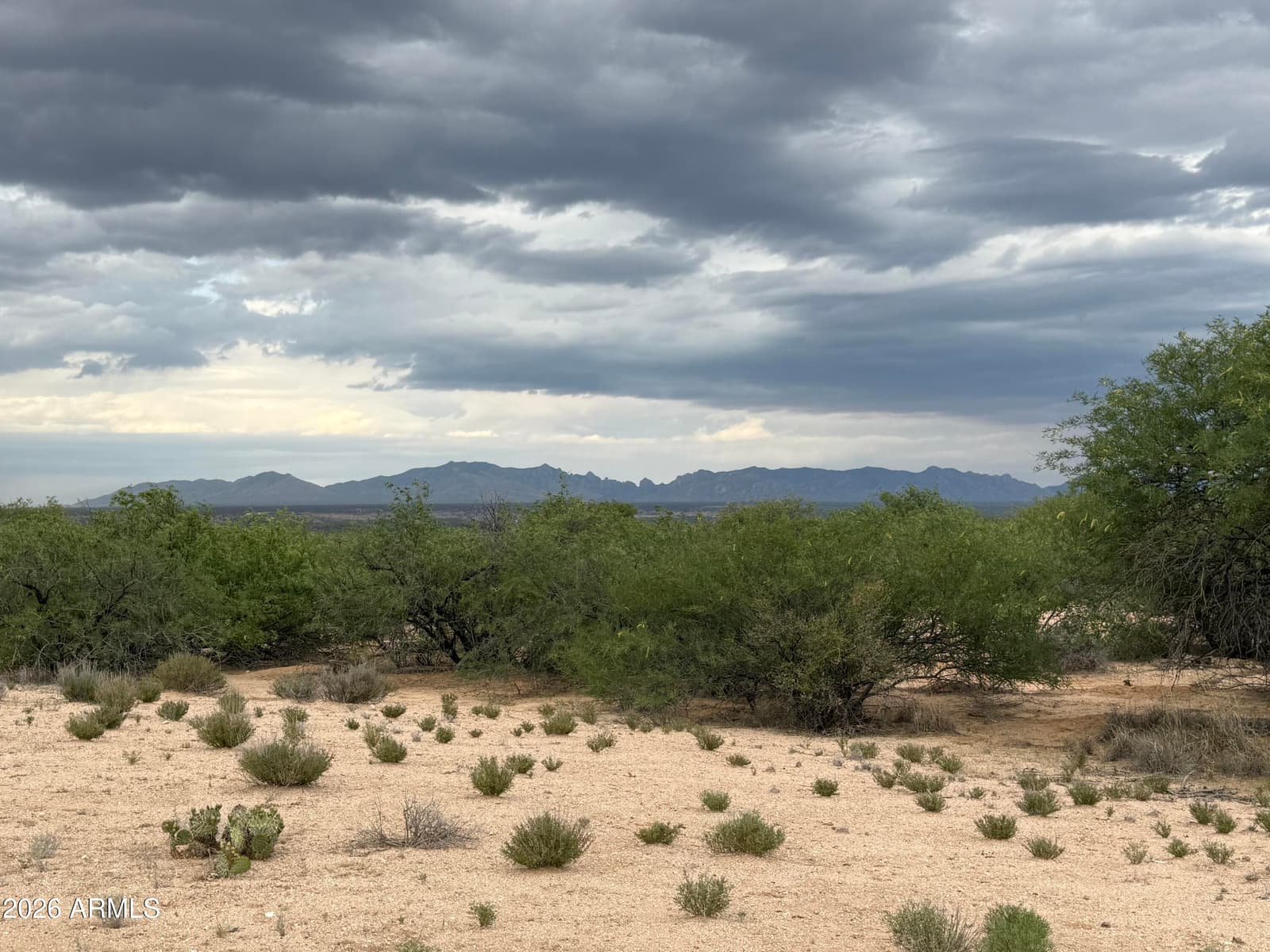 2305 W RABBITT Trail, Saint David, AZ 85630 — photo 32 of 40