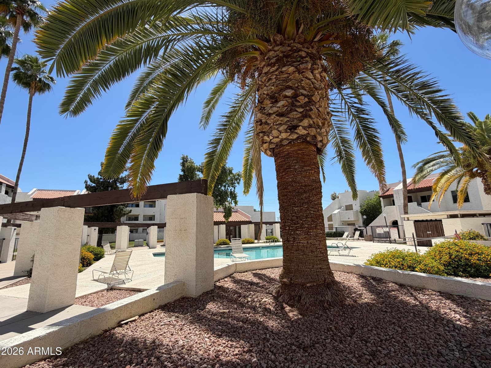 4730 W NORTHERN Avenue 2107, Glendale, AZ 85301 — photo 8 of 13