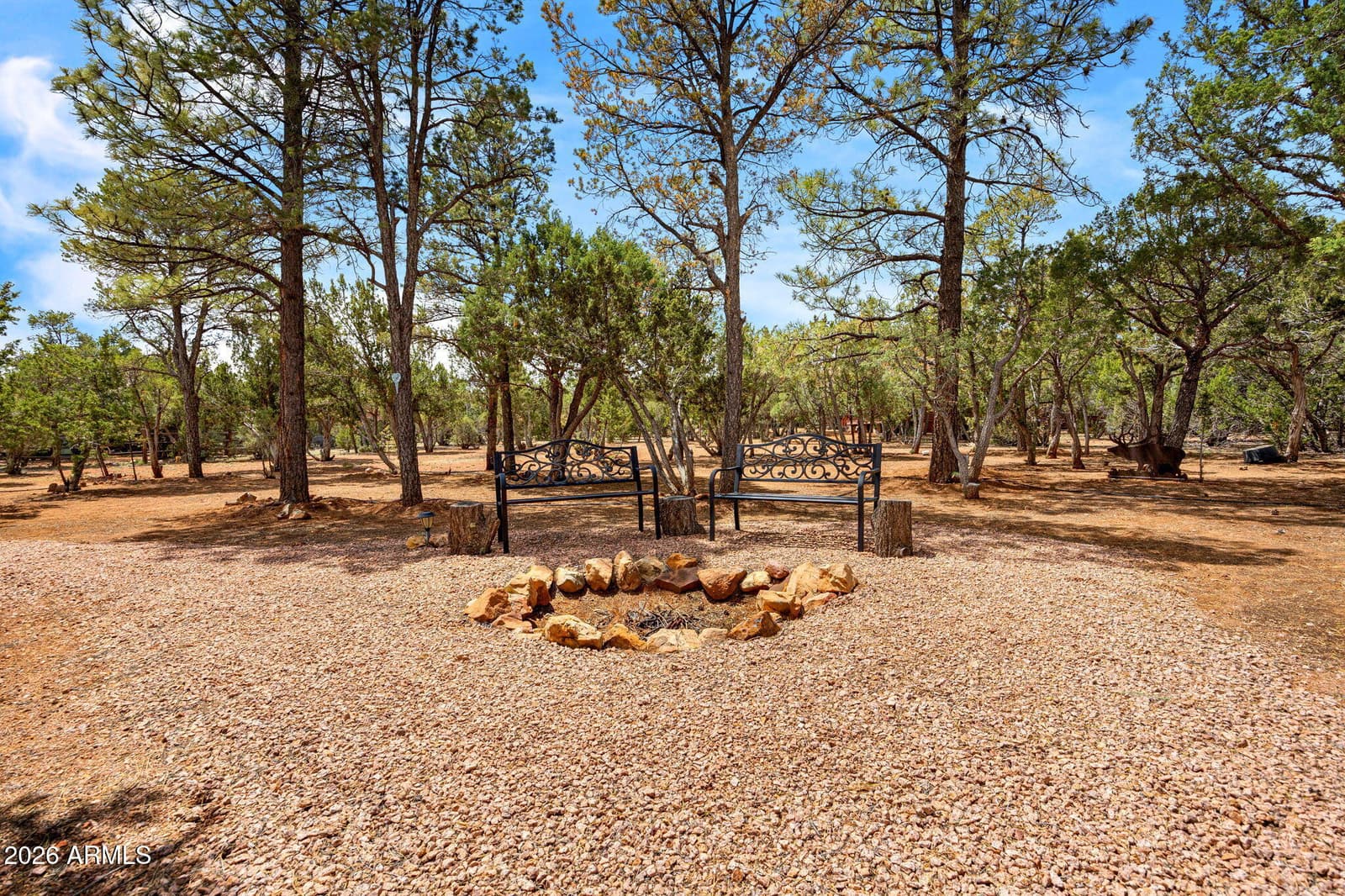 2788 CHANDELLE Lane, Overgaard, AZ 85933 — photo 30 of 31