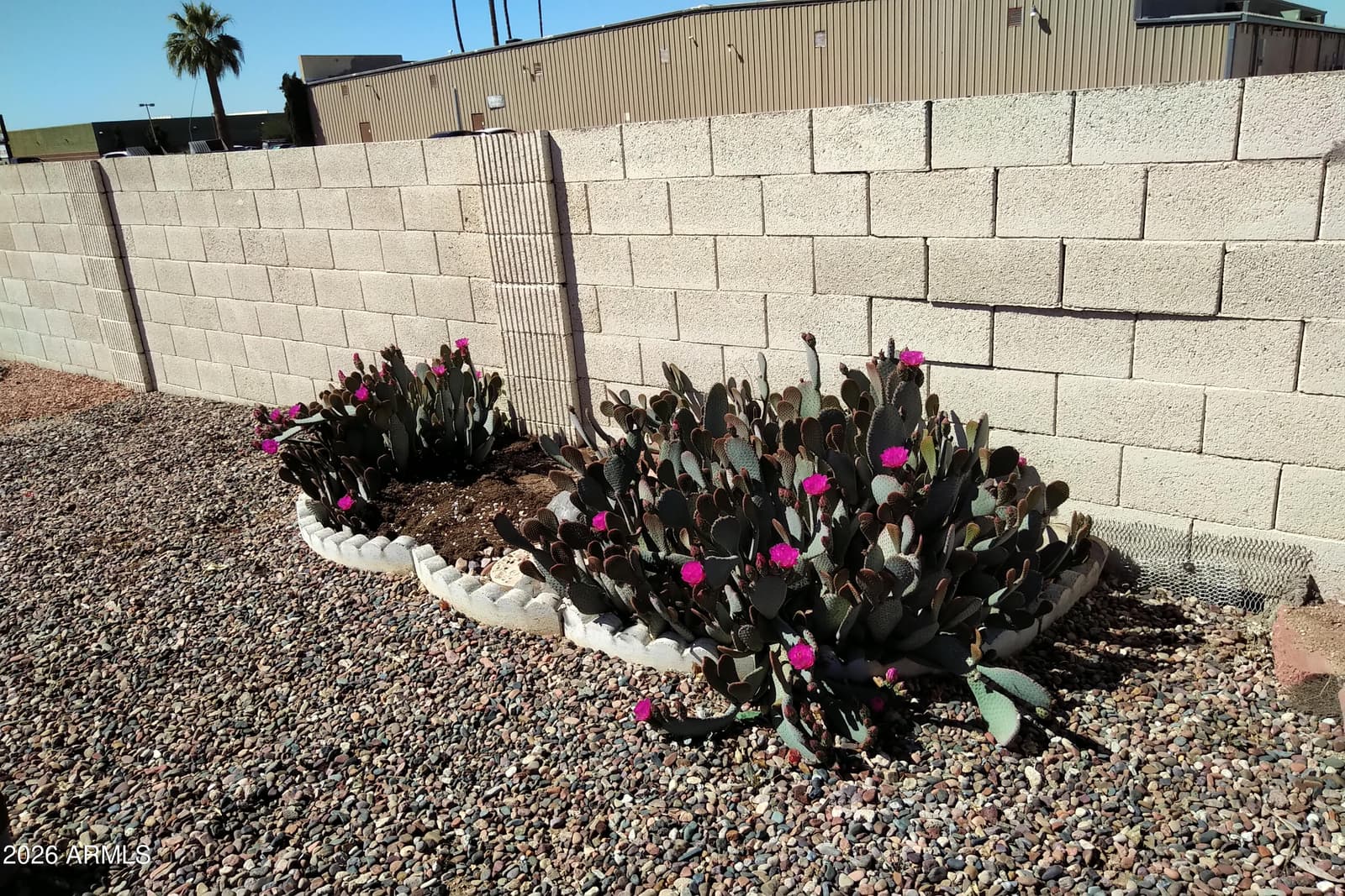 9302 E BROADWAY Road 179, Mesa, AZ 85208 — photo 50 of 54