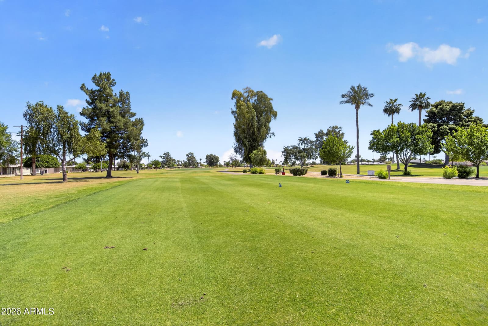 10582 W OAKMONT Drive, Sun City, AZ 85351 — photo 53 of 67