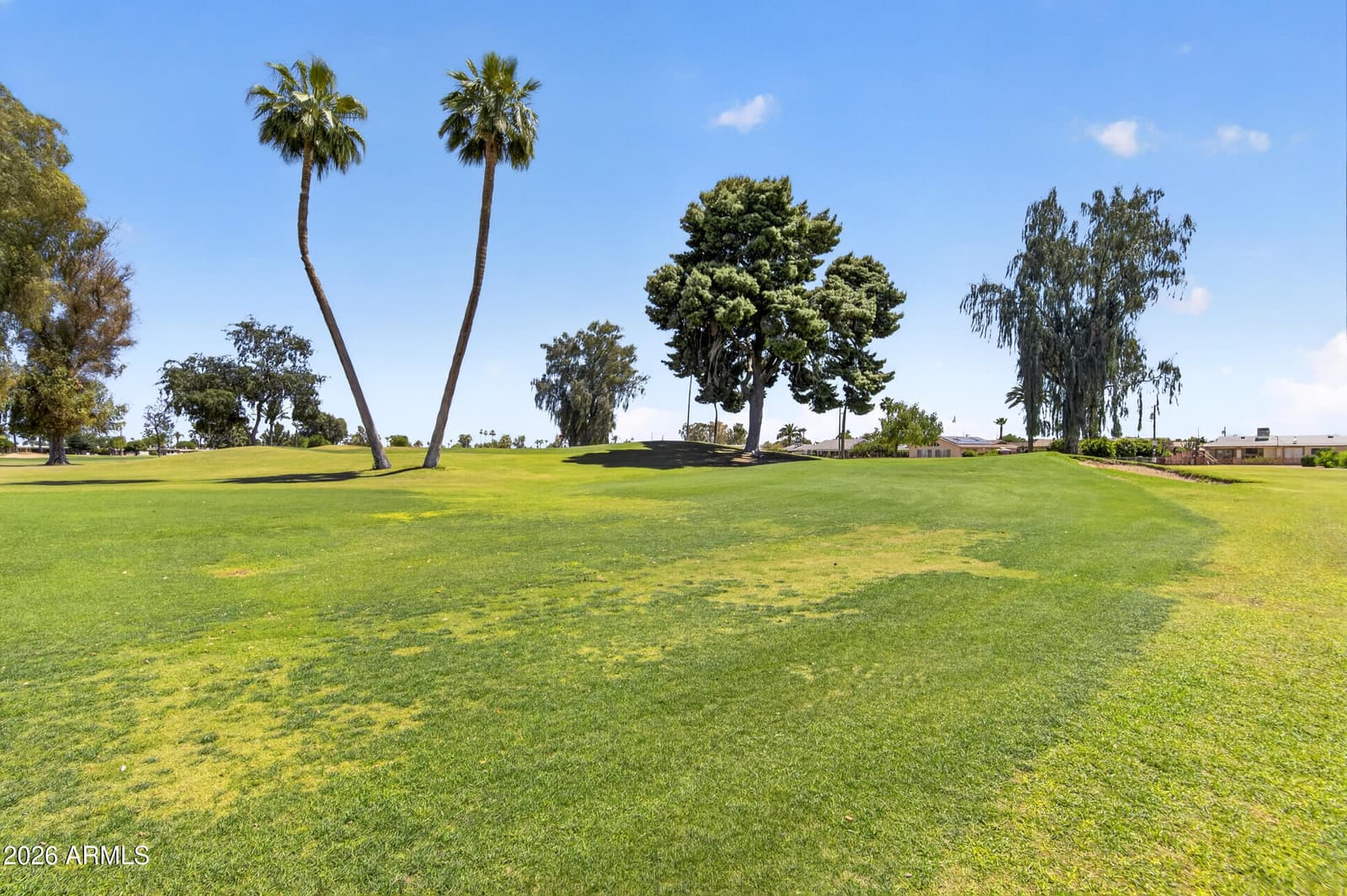 10582 W OAKMONT Drive, Sun City, AZ 85351 — photo 54 of 67