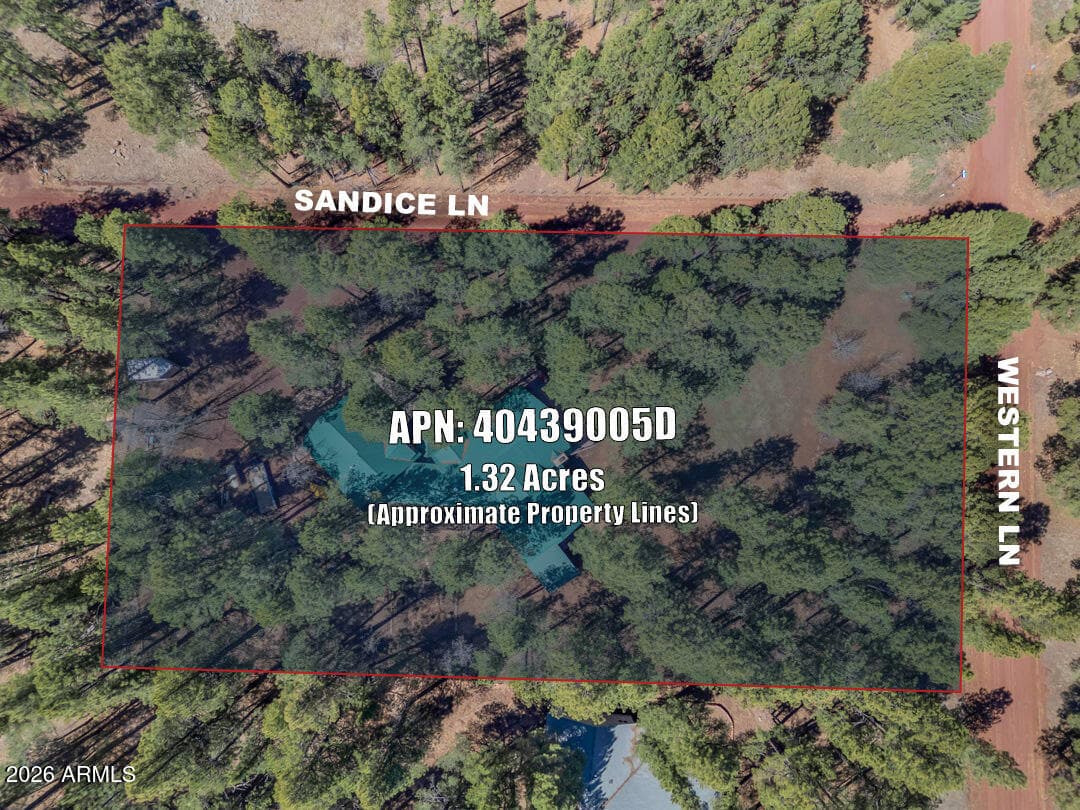 79 SANDIGE Lane, Mormon Lake, AZ 86038 — photo 66 of 73