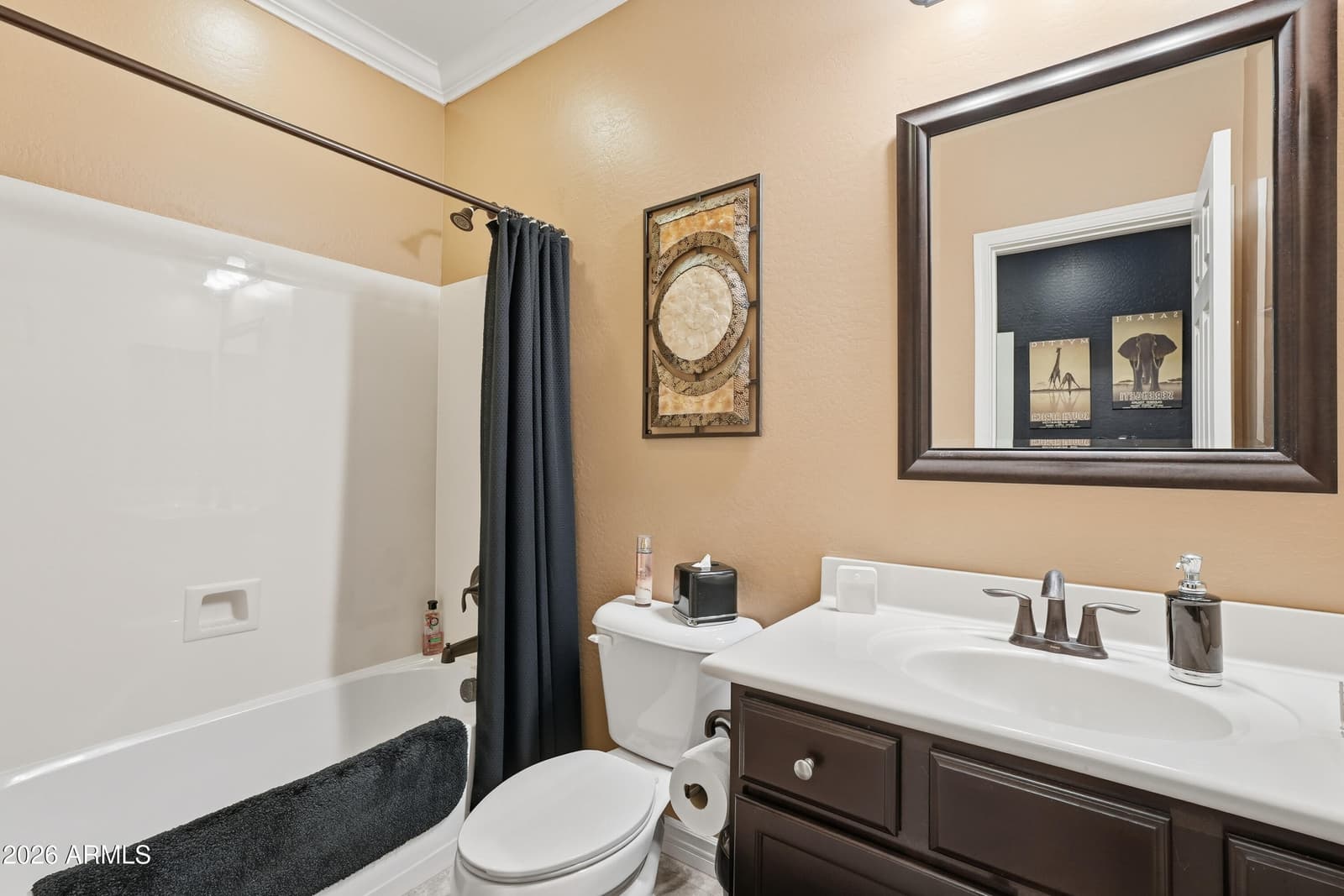 10366 W BAJADA Road, Peoria, AZ 85383 — photo 44 of 93