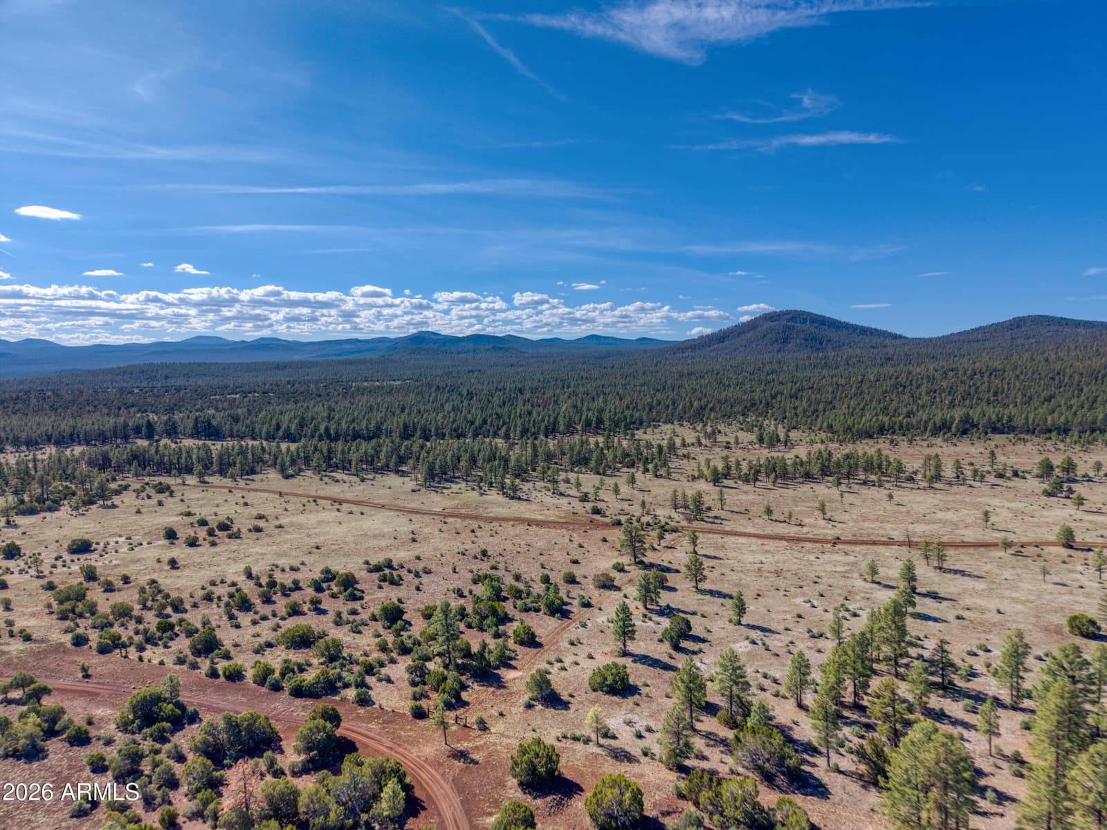 4 N 3163, Vernon, AZ 85940 — photo 57 of 90