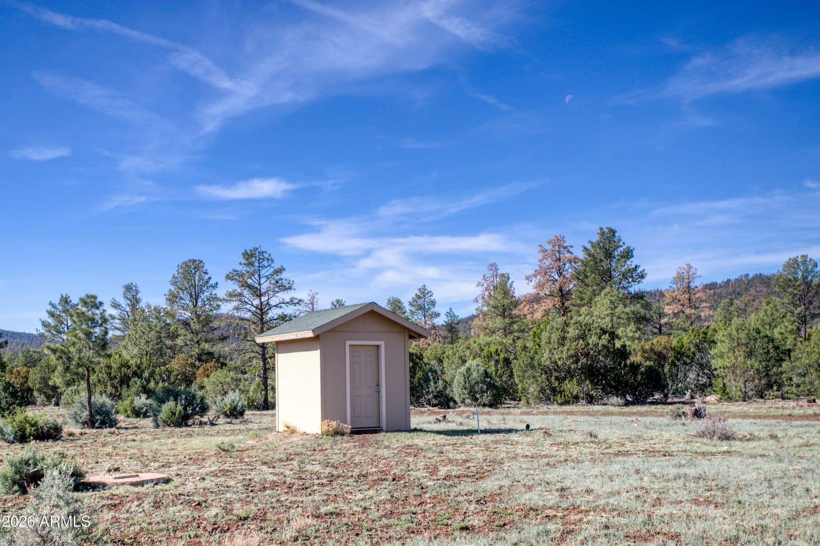 4 N 3163, Vernon, AZ 85940 — photo 66 of 90