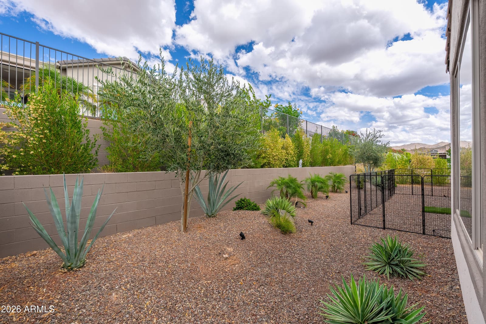 19099 N 269TH Drive, Buckeye, AZ 85396 — photo 37 of 57