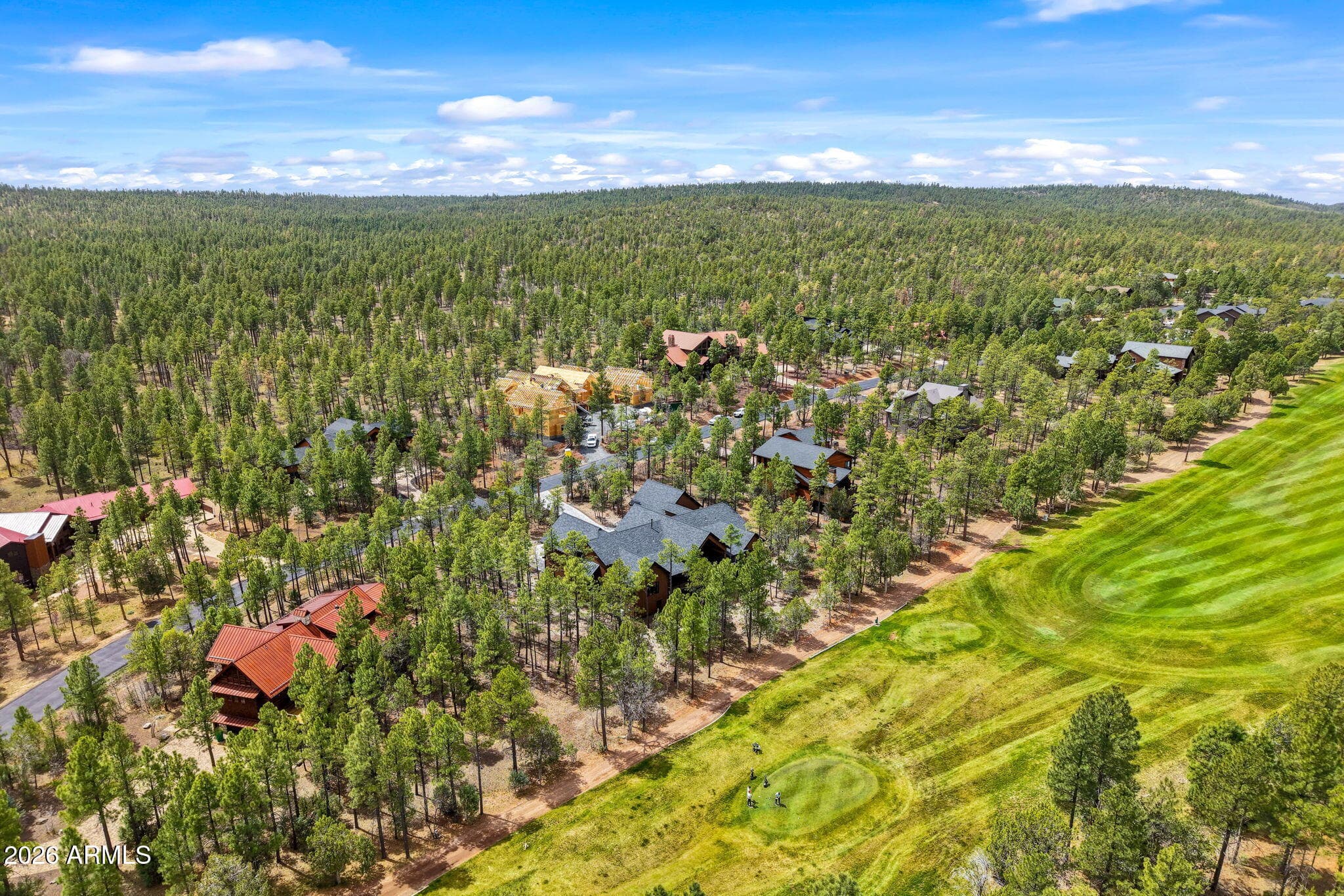 2441 S MONKSHOOD Road, Show Low, AZ 85901 — photo 89 of 90