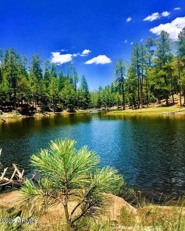1501 N BEELINE Highway 1, Payson, AZ 85541 — photo 42 of 58