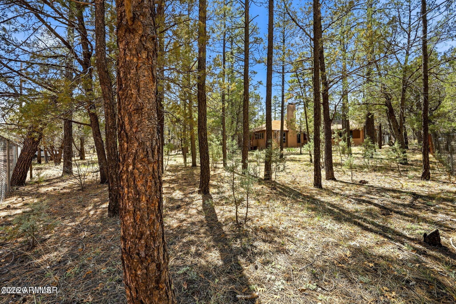 2366 CEDAR Avenue, Lakeside, AZ 85929 — photo 27 of 36