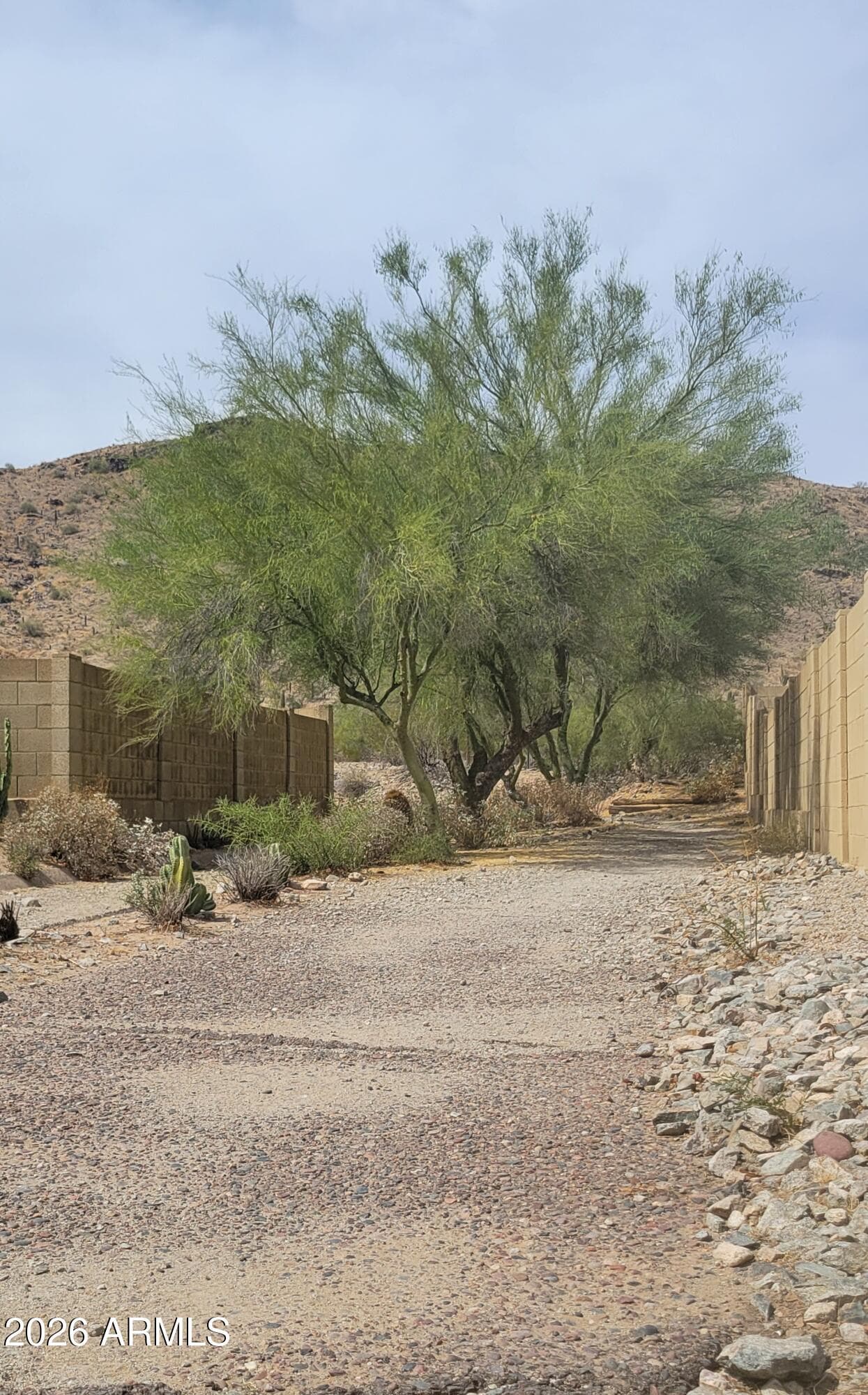 9854 S 47TH Place, Phoenix, AZ 85044 — photo 42 of 49