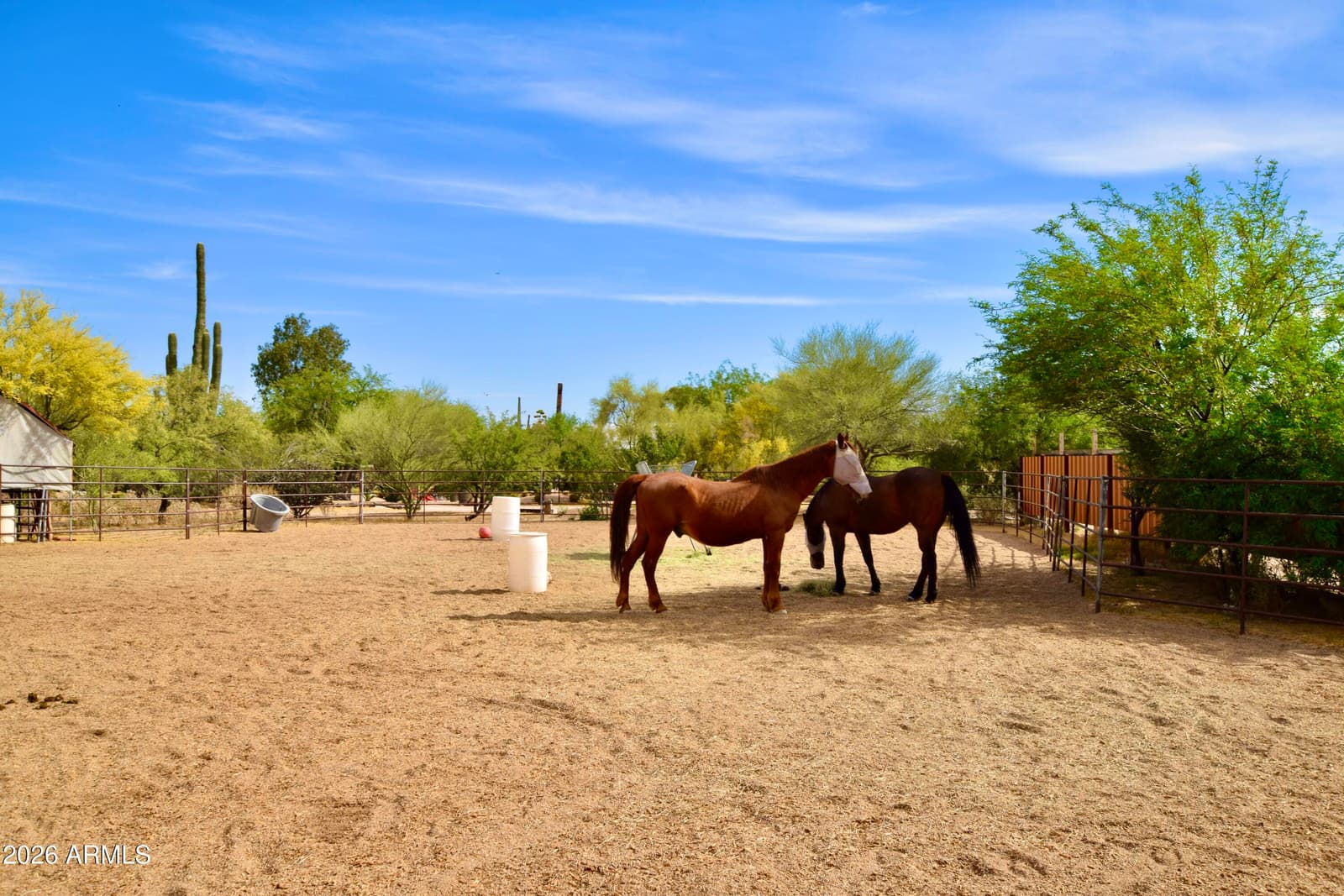 6430 E LONESOME Trail, Cave Creek, AZ 85331 — photo 42 of 45