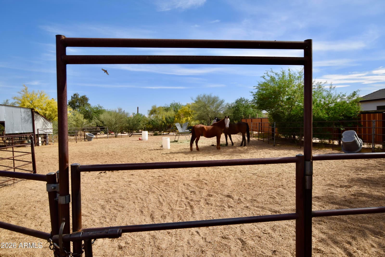 6430 E LONESOME Trail, Cave Creek, AZ 85331 — photo 41 of 45