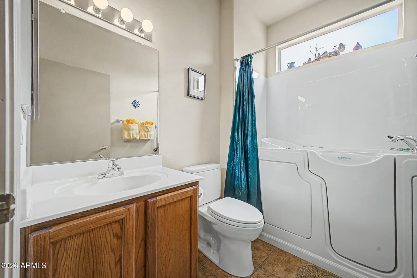 19409 N PAPAGO Drive, Surprise, AZ 85374 — photo 19 of 29