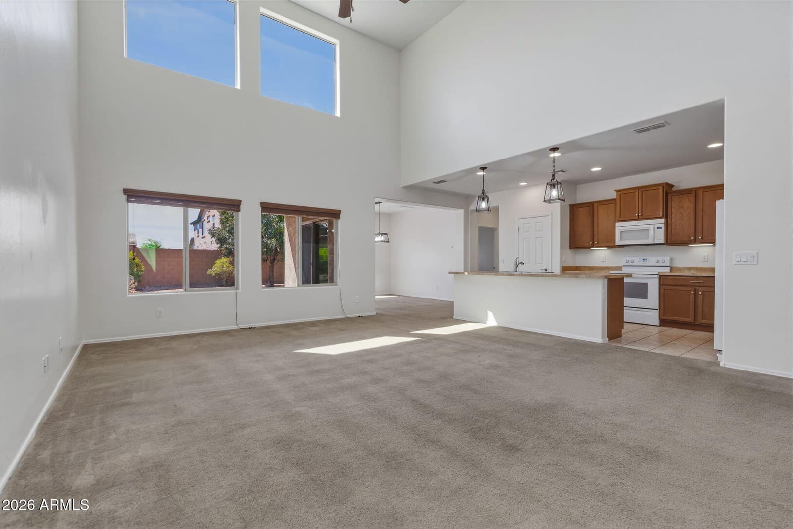 17543 W BUCKHORN Trail, Surprise, AZ 85387 — photo 6 of 101
