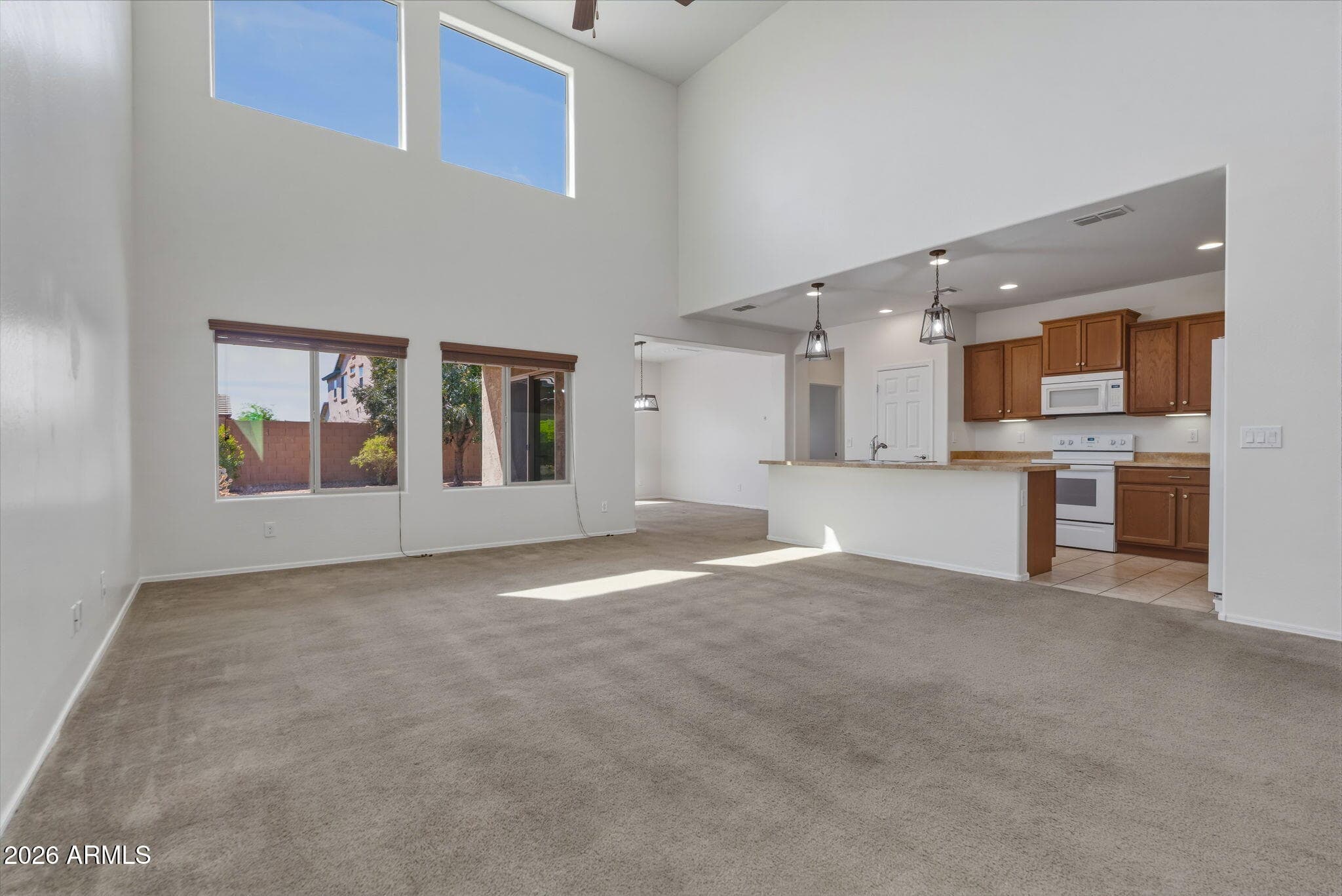 17543 W BUCKHORN Trail, Surprise, AZ 85387 — photo 6 of 101