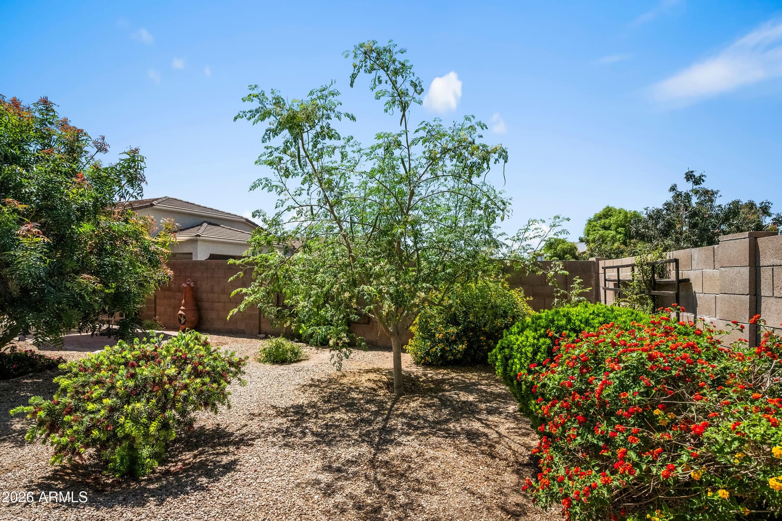 21270 E TIERRA GRANDE Drive, Queen Creek, AZ 85142 — photo 39 of 50