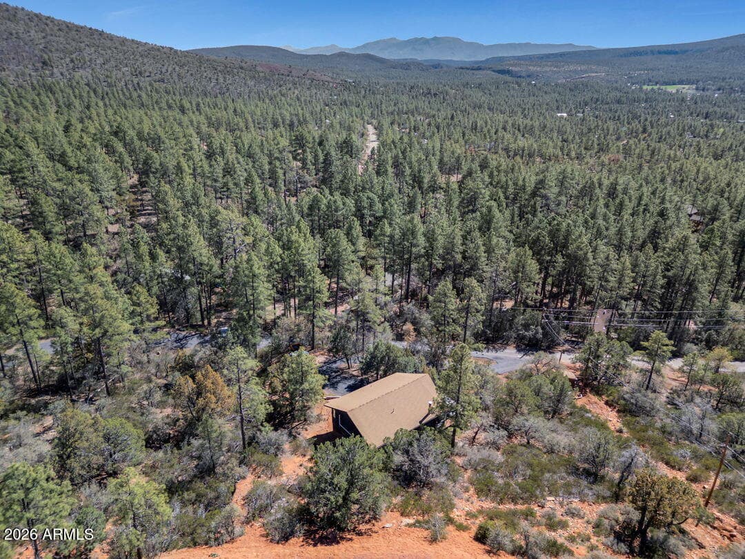 5416 W PINON Drive, Pine, AZ 85544 — photo 30 of 42