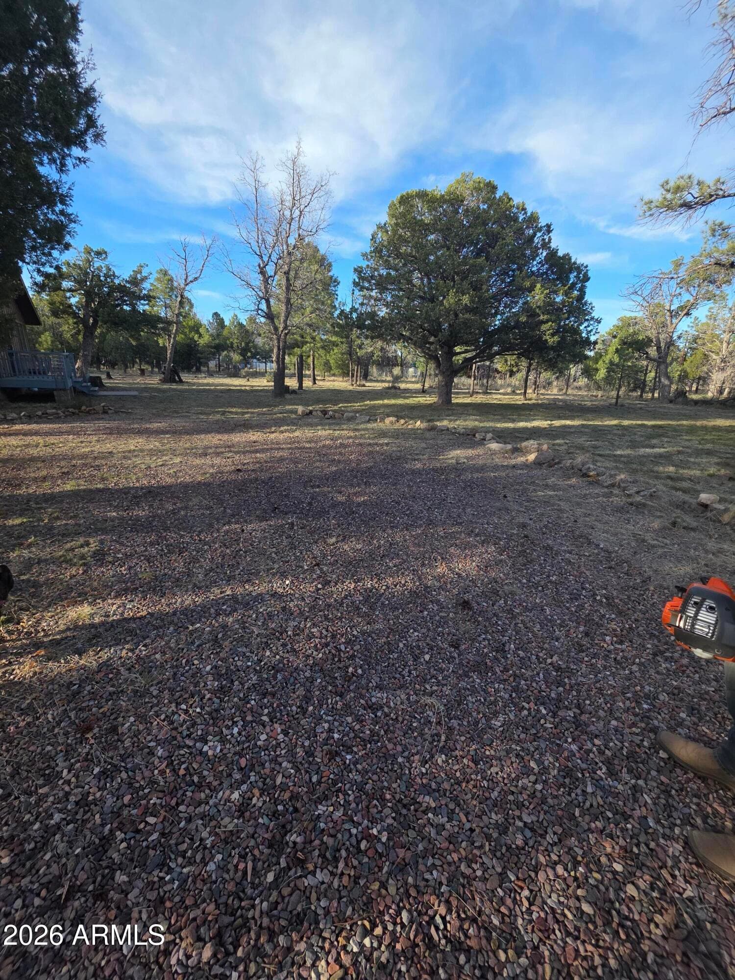 5823 Cougar Drive, Happy Jack, AZ 86024 — photo 1 of 30