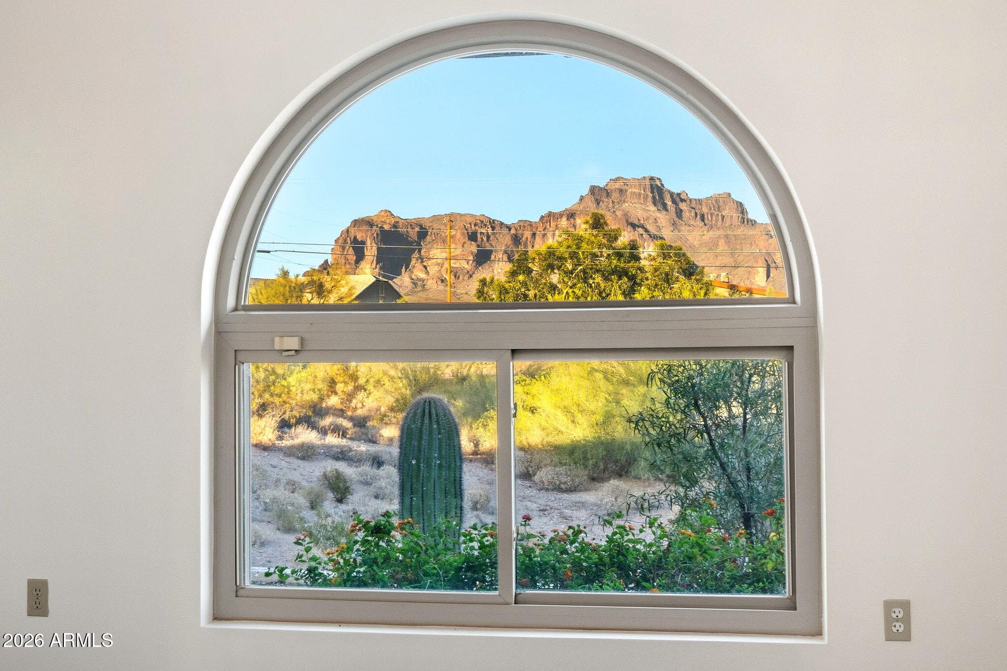 2323 E GREASEWOOD Street, Apache Junction, AZ 85119 — photo 11 of 23