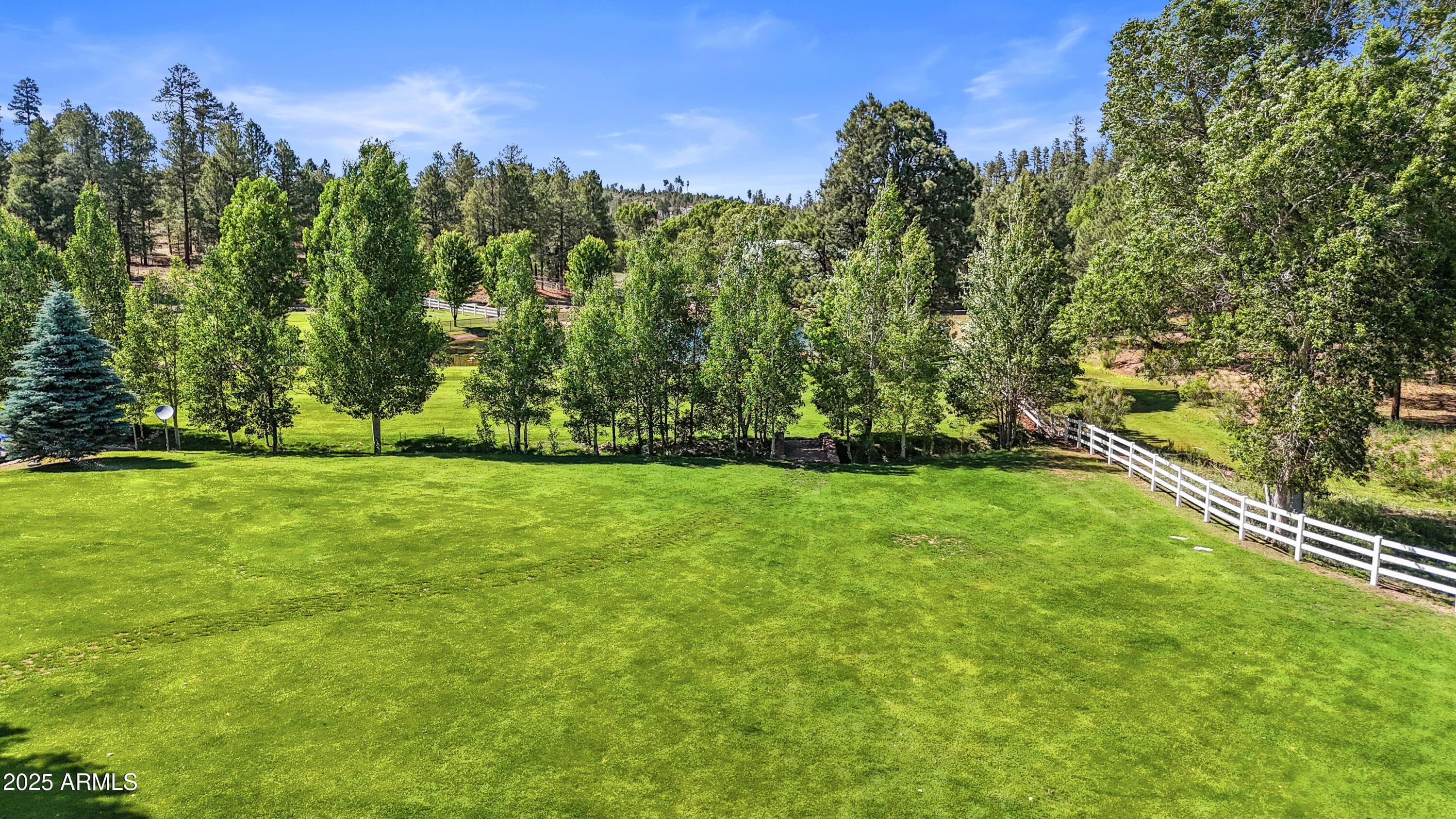 1625 BLACK CANYON Road, Heber, AZ 85928 — photo 80 of 100