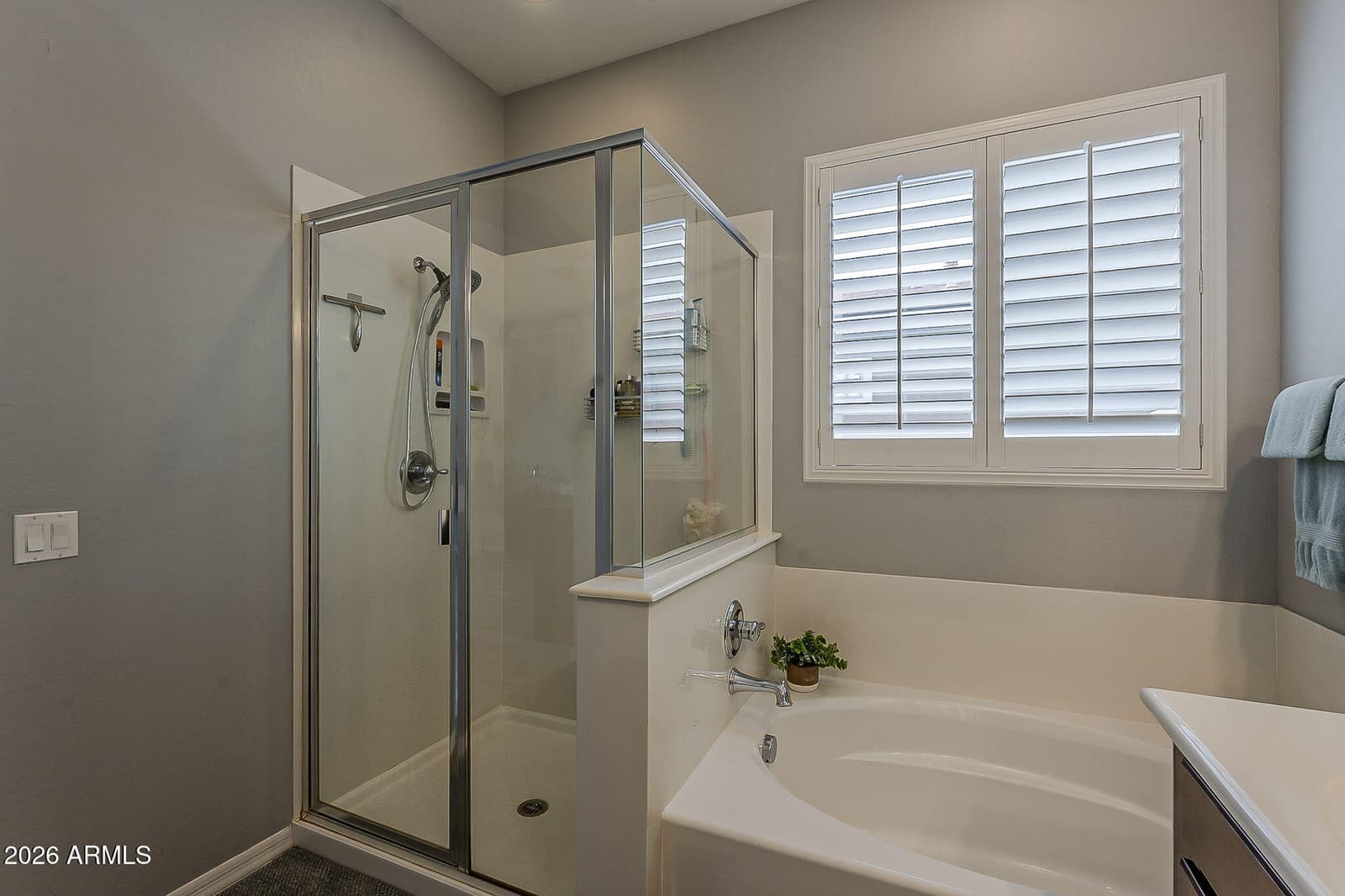 4135 E GRAND CANYON Drive, Chandler, AZ 85249 — photo 19 of 21