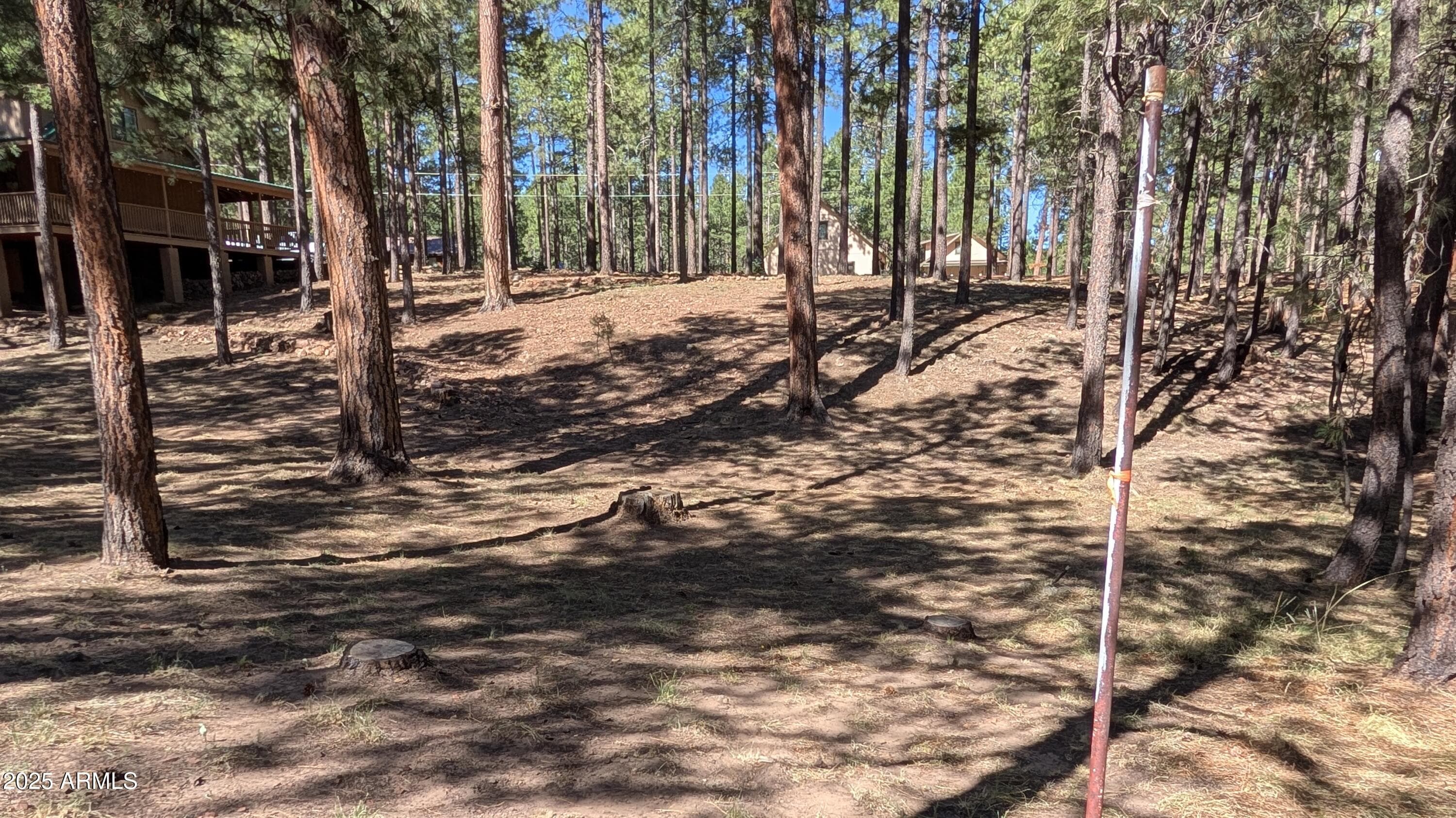 2425 TALL TREES Loop, Forest Lakes, AZ 85931 — photo 39 of 43