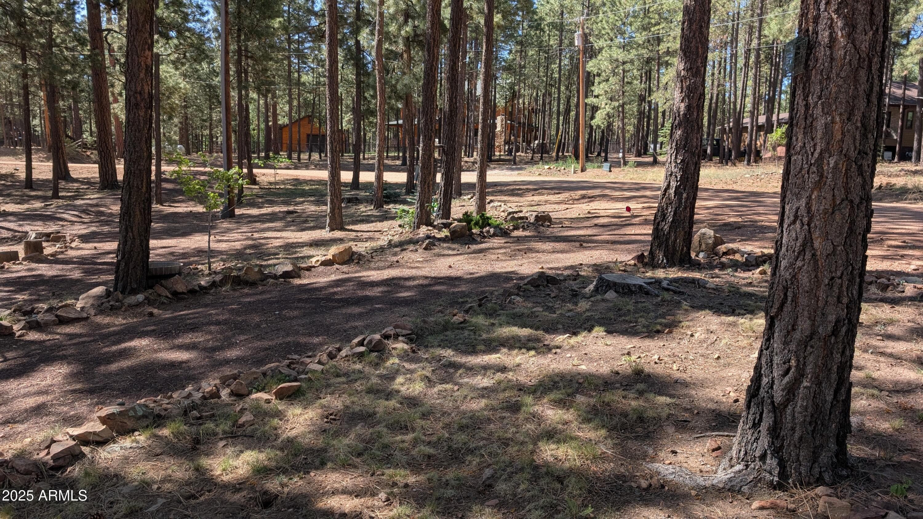 2425 TALL TREES Loop, Forest Lakes, AZ 85931 — photo 40 of 43