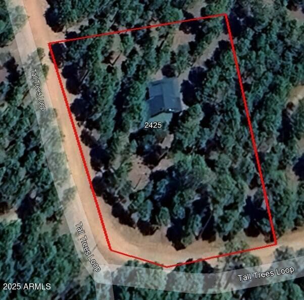 2425 TALL TREES Loop, Forest Lakes, AZ 85931 — photo 43 of 43