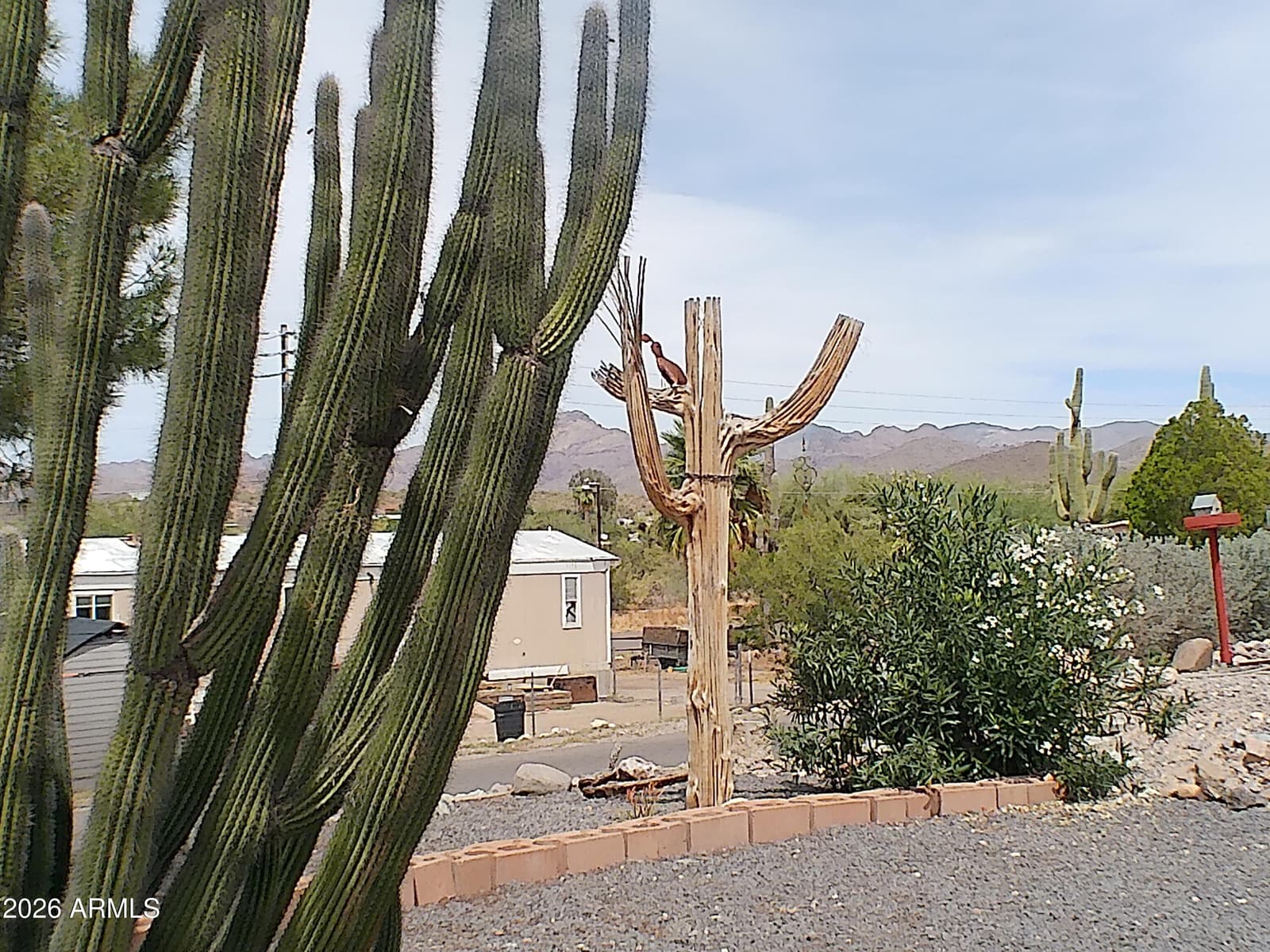 41 W MORRIS Drive, Queen Valley, AZ 85118 — photo 24 of 24