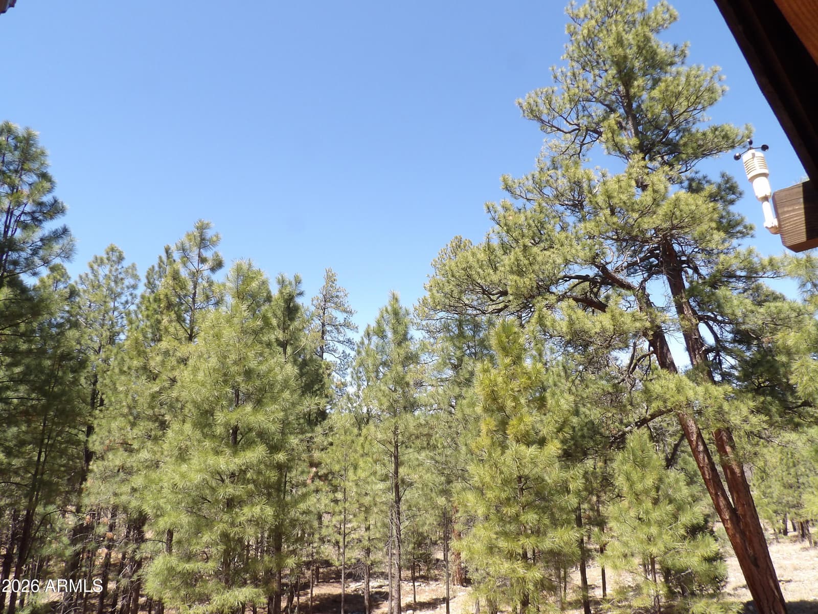 4269 JUNIPER Drive 1, Happy Jack, AZ 86024 — photo 25 of 29