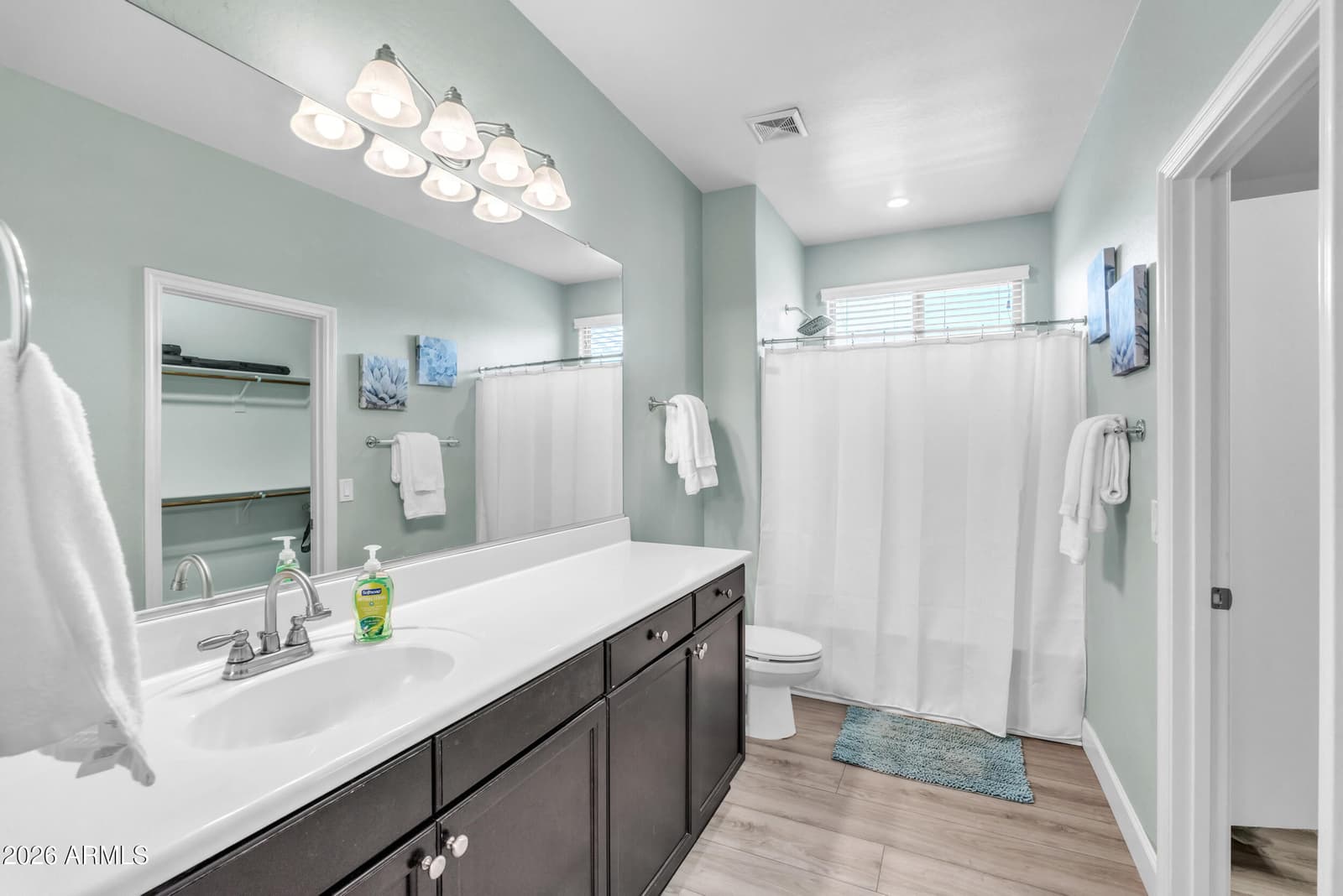 1723 W LOEMANN Drive, San Tan Valley, AZ 85144 — photo 12 of 27