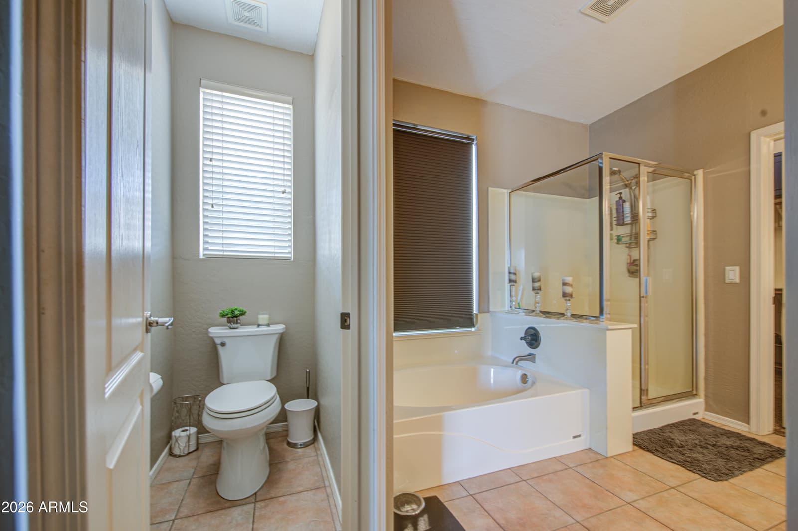 10282 S 185TH Avenue, Goodyear, AZ 85338 — photo 28 of 116