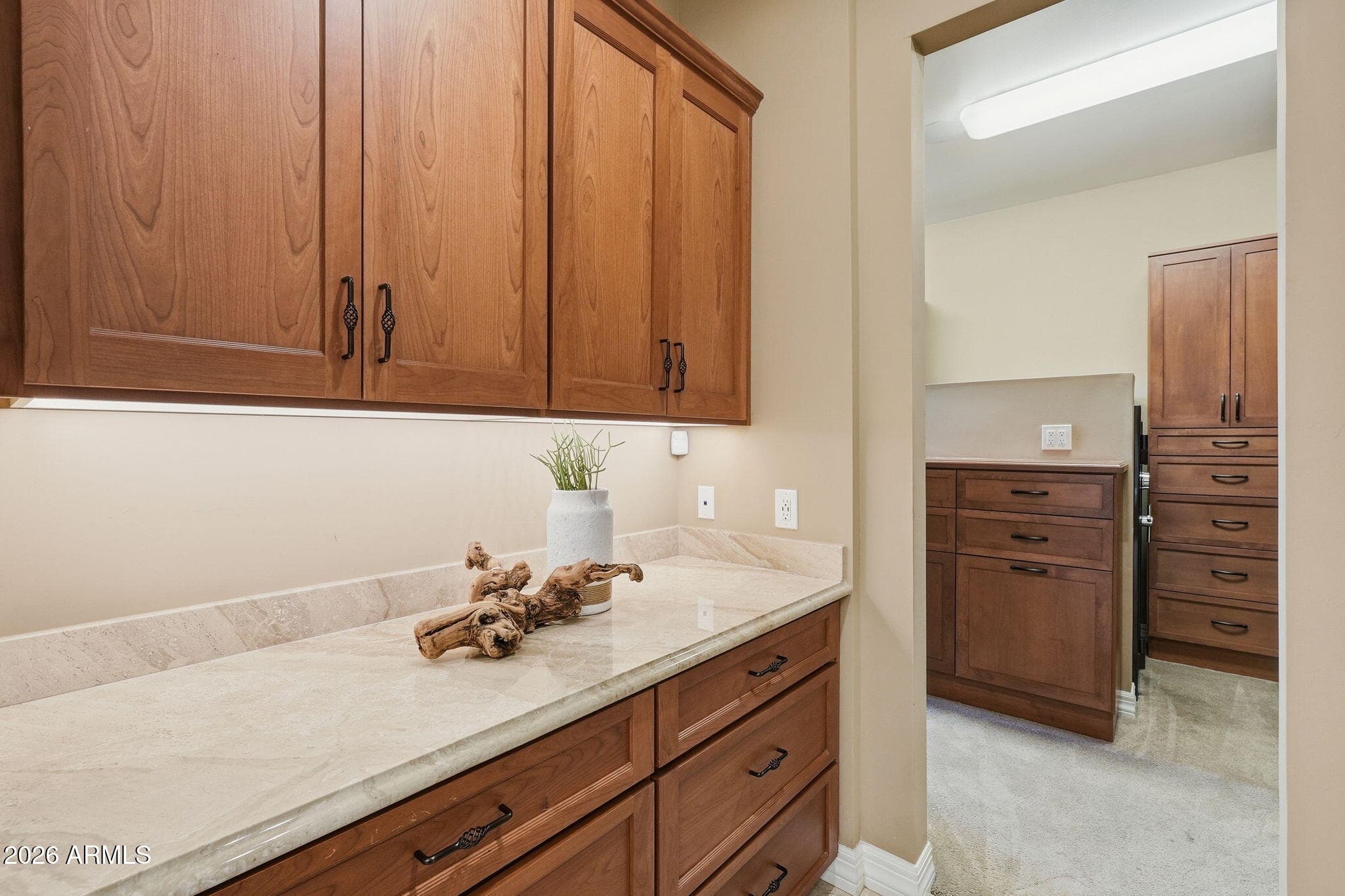 27043 N 117TH Place, Scottsdale, AZ 85262 — photo 36 of 77
