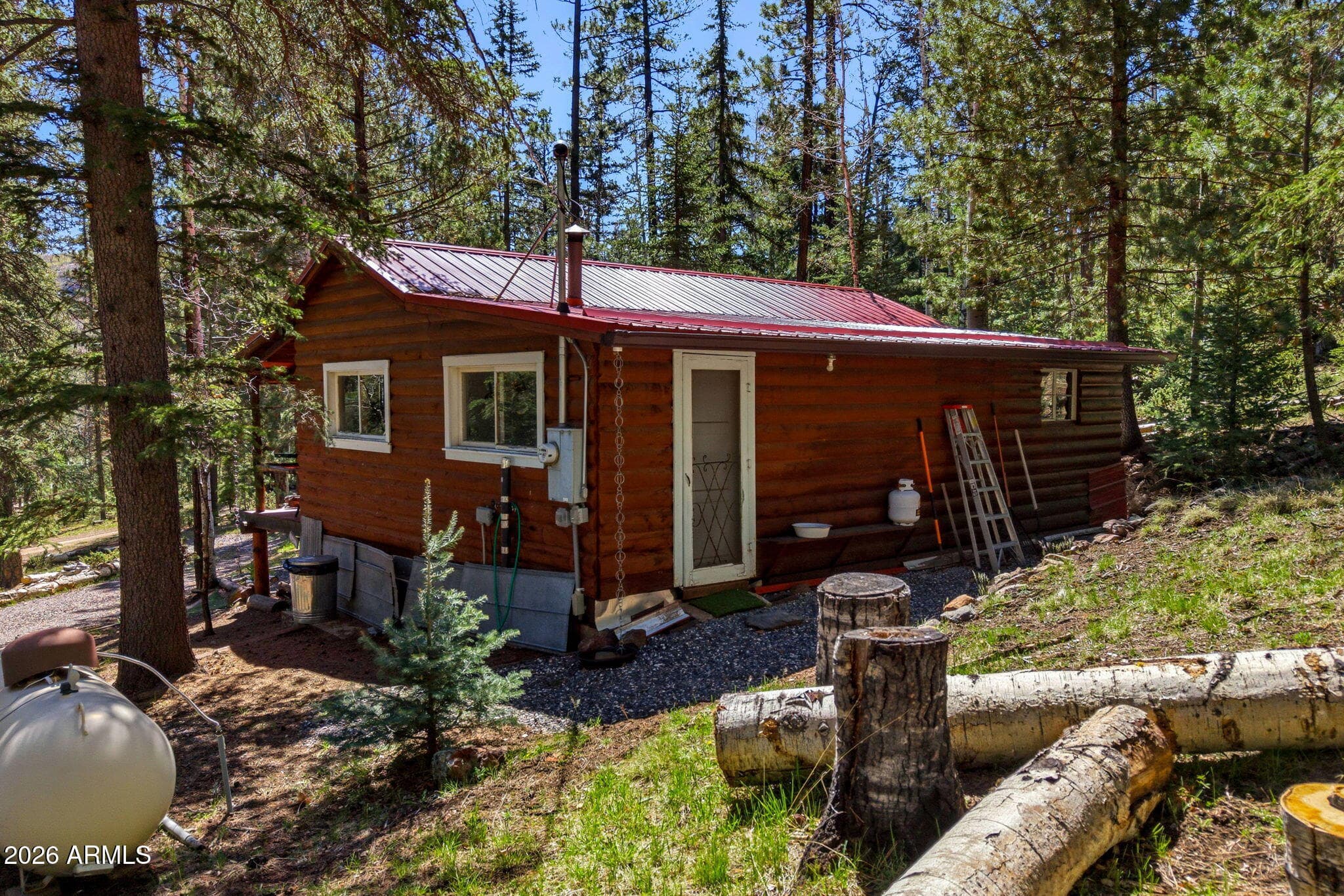 8 COUNTY ROAD 1006, Greer, AZ 85927 — photo 22 of 29