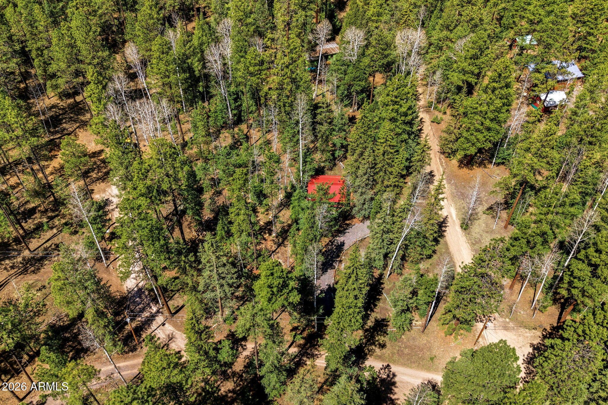8 COUNTY ROAD 1006, Greer, AZ 85927 — photo 24 of 29