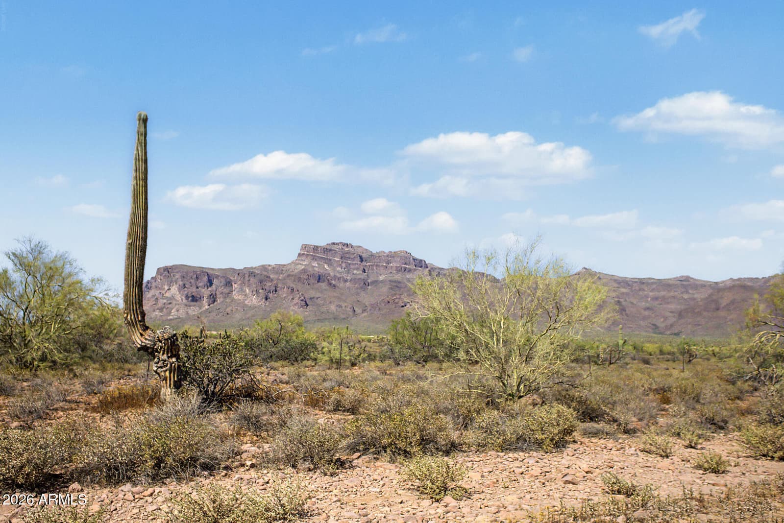 6519 E Southern Avenue, Apache Junction, AZ 85119 — photo 64 of 89