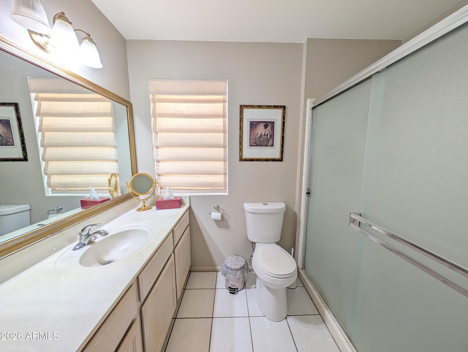 10214 W CLAIR Drive, Sun City, AZ 85351 — photo 15 of 20