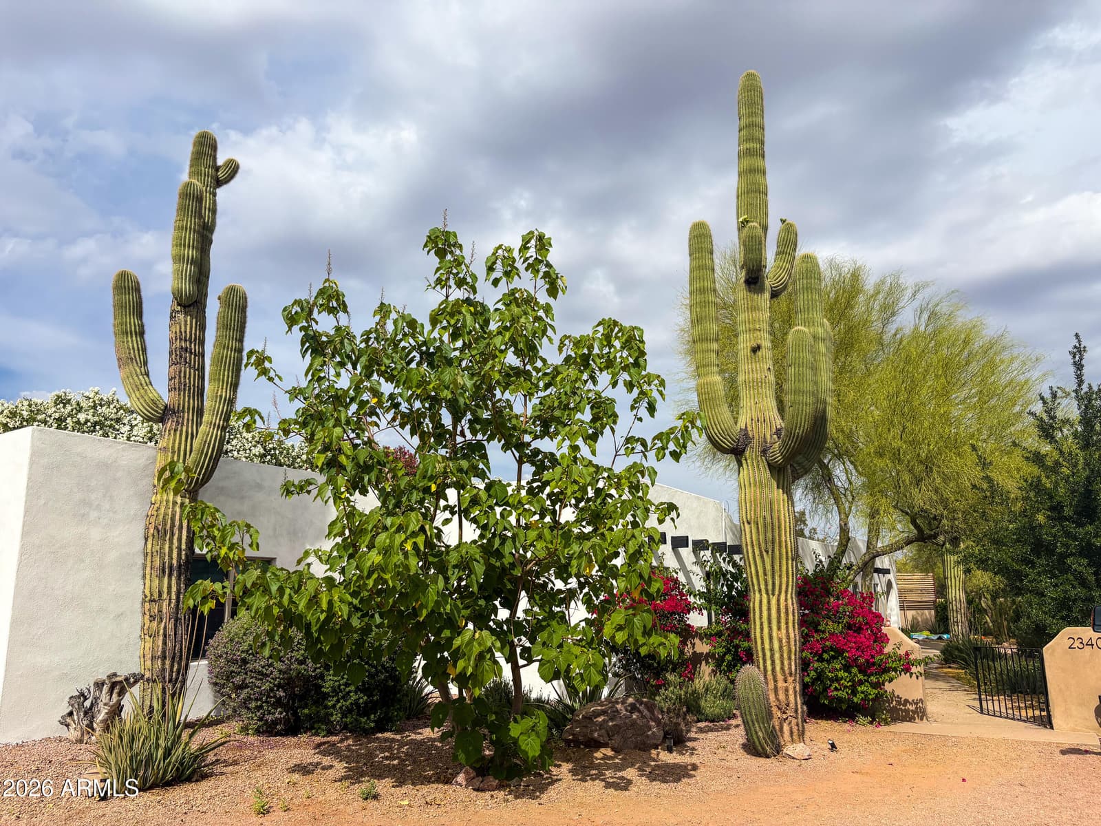 23405 N 84TH Street, Scottsdale, AZ 85255 — photo 37 of 53
