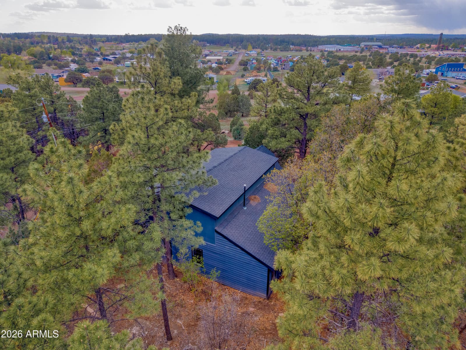 931 MIRAMON Drive, Lakeside, AZ 85929 — photo 4 of 27