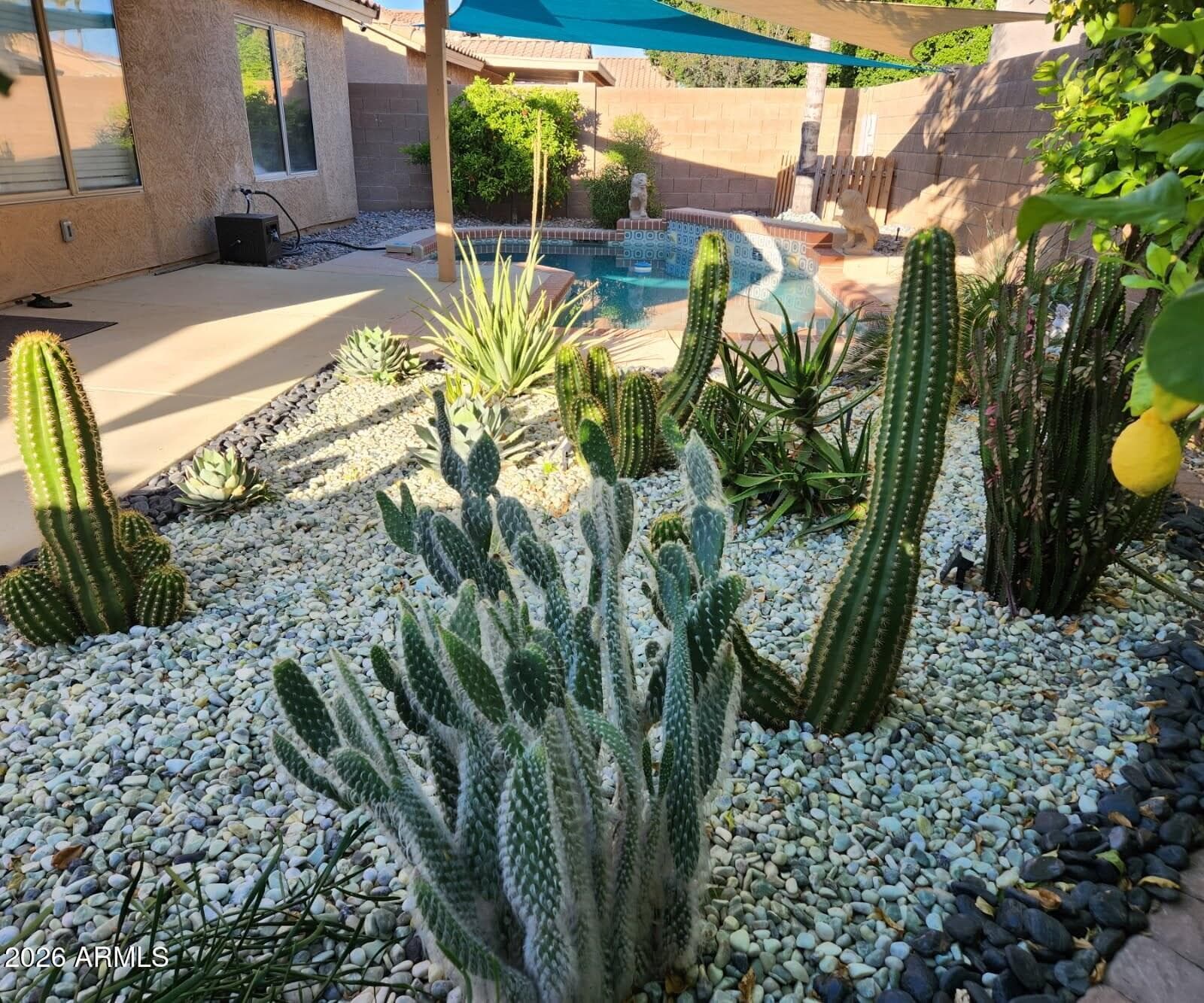 15029 W BOTTLE TREE Avenue, Surprise, AZ 85374 — photo 25 of 28
