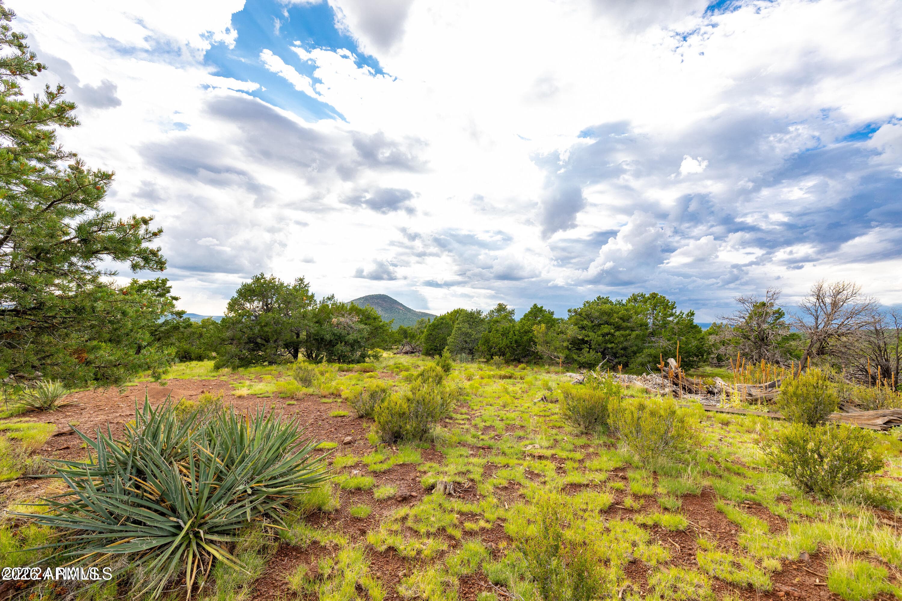 2667 E OVERLOOK Drive, Williams, AZ 86046 — photo 61 of 84