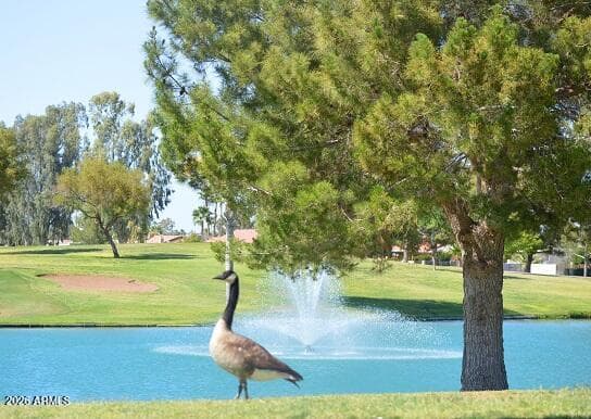 9046 E COUNTRY CLUB Drive, Sun Lakes, AZ 85248 — photo 62 of 68