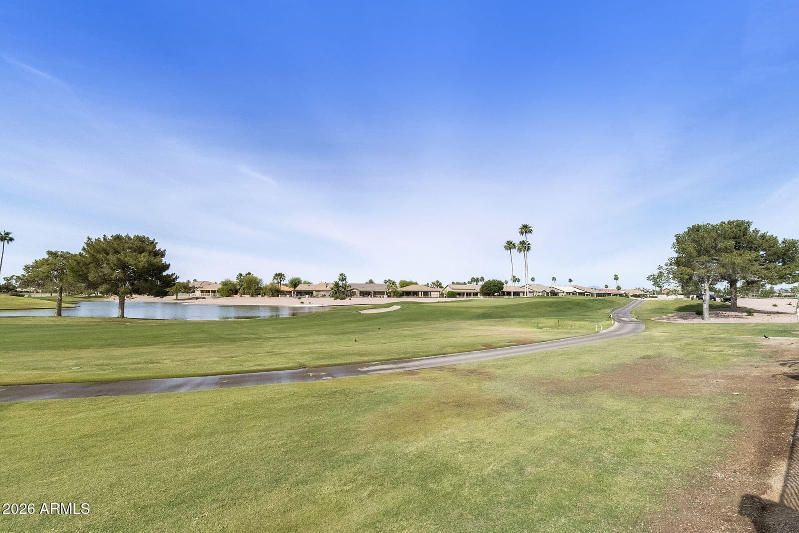 9505 E SUNRIDGE Drive, Sun Lakes, AZ 85248 — photo 63 of 89