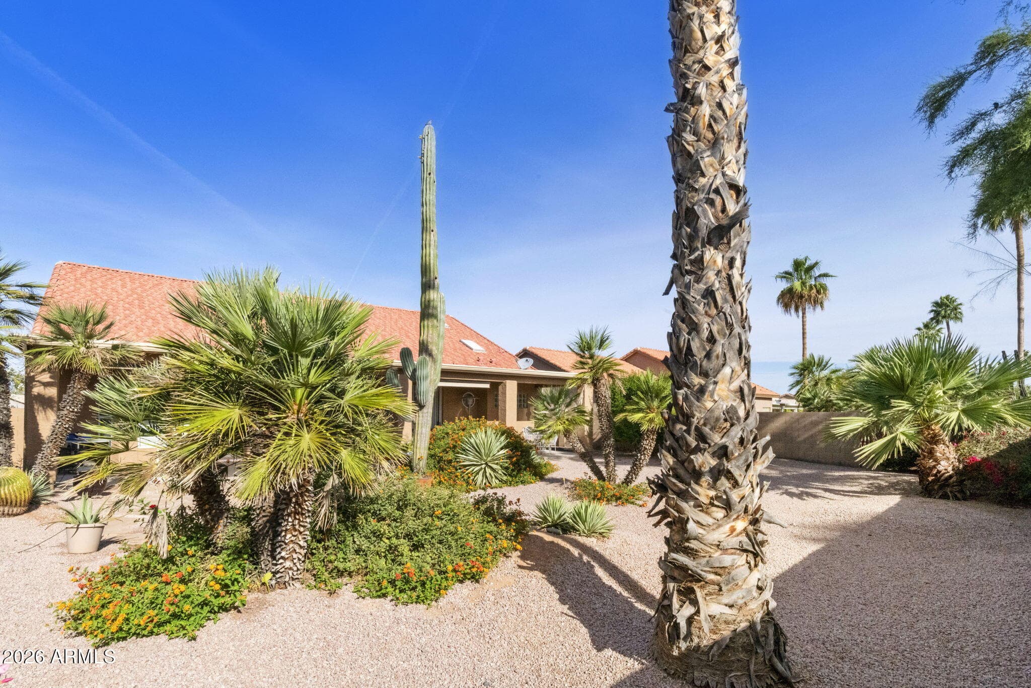 25007 S LAKESTAR Drive, Sun Lakes, AZ 85248 — photo 23 of 64