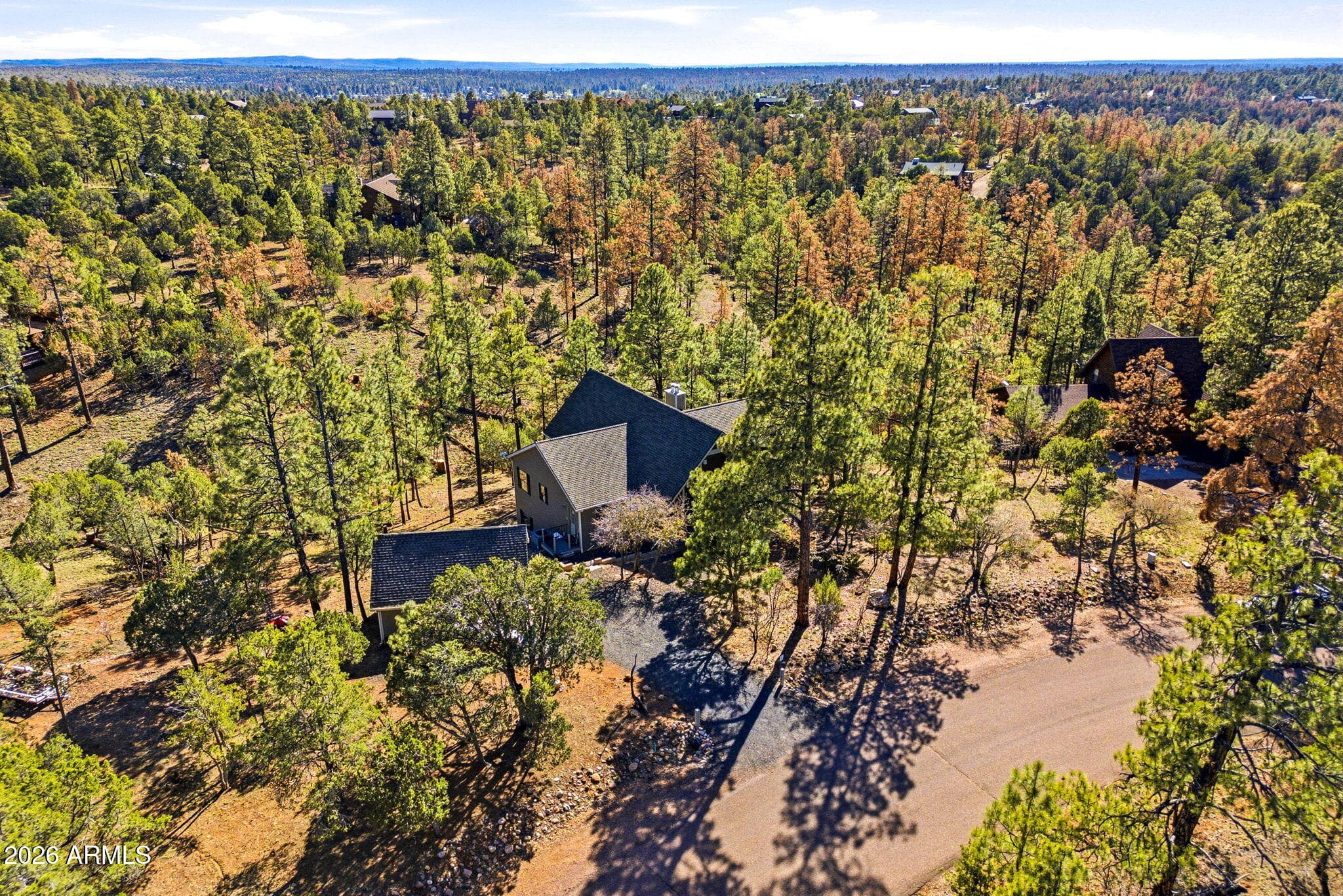 2832 LAZY EIGHT Court, Overgaard, AZ 85933 — photo 40 of 48