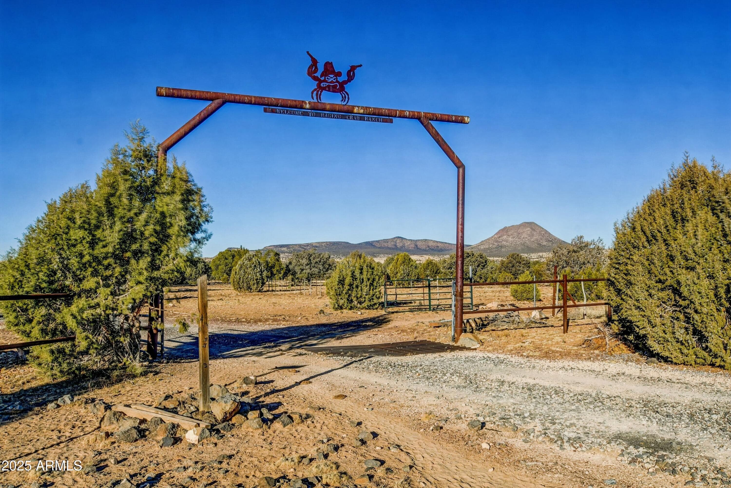 10777 W RAGING CRAB Road, Ash Fork, AZ 86320 — photo 2 of 45