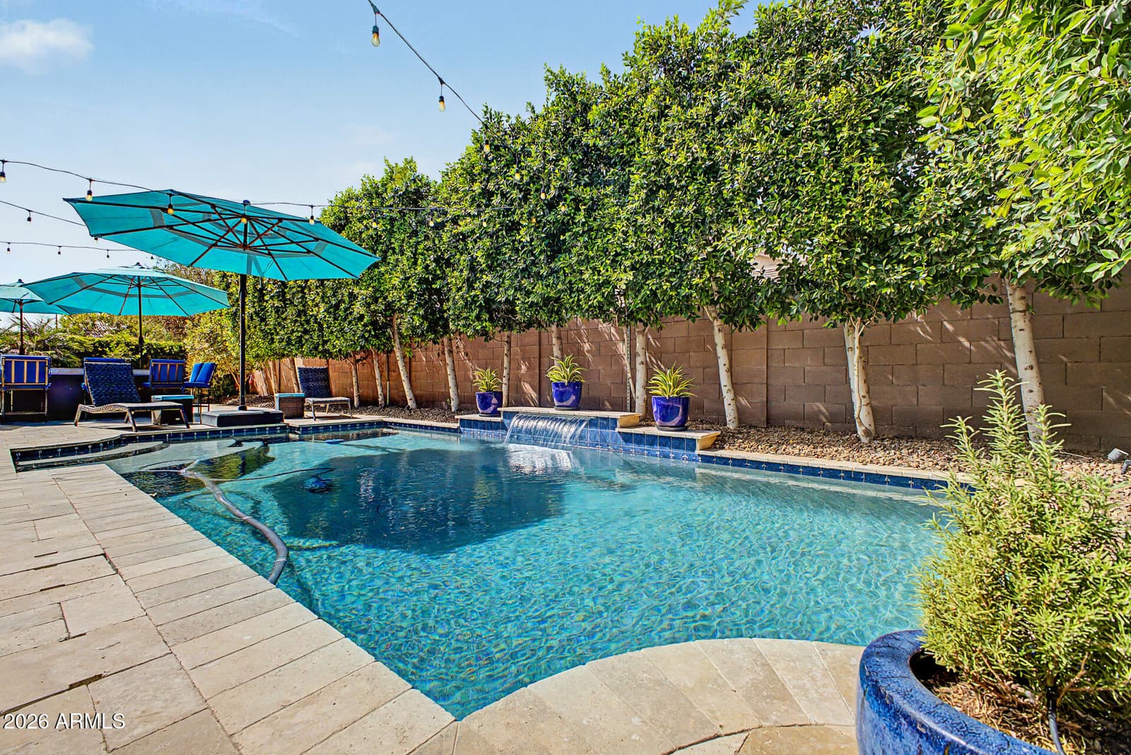 2442 E PLUM Street, Gilbert, AZ 85298 — photo 43 of 46