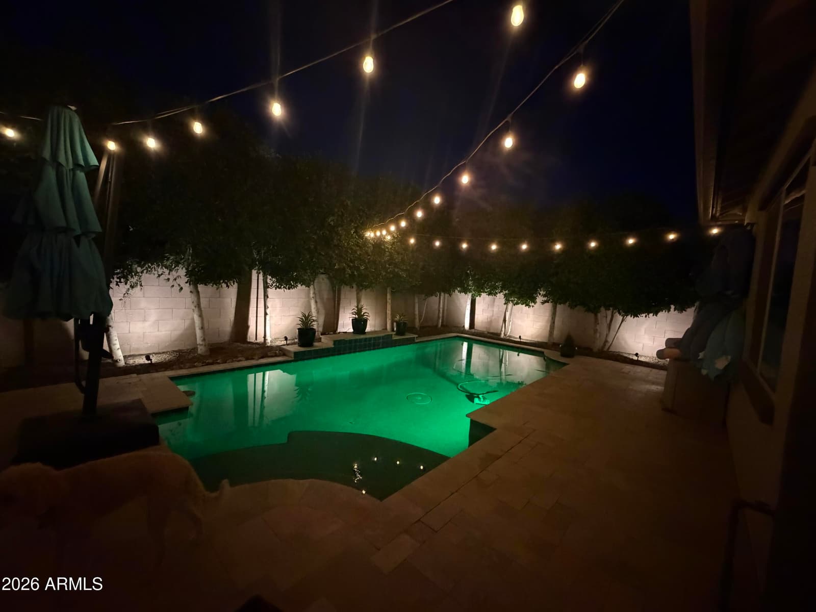 2442 E PLUM Street, Gilbert, AZ 85298 — photo 45 of 46